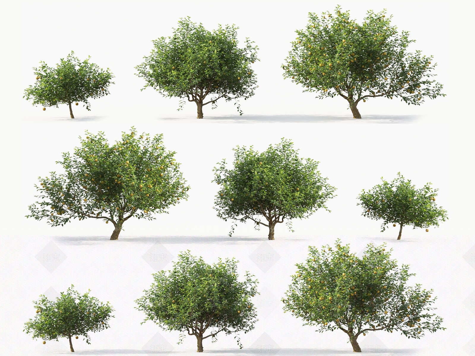 柠檬树3D模型下载【ID:1121734021】