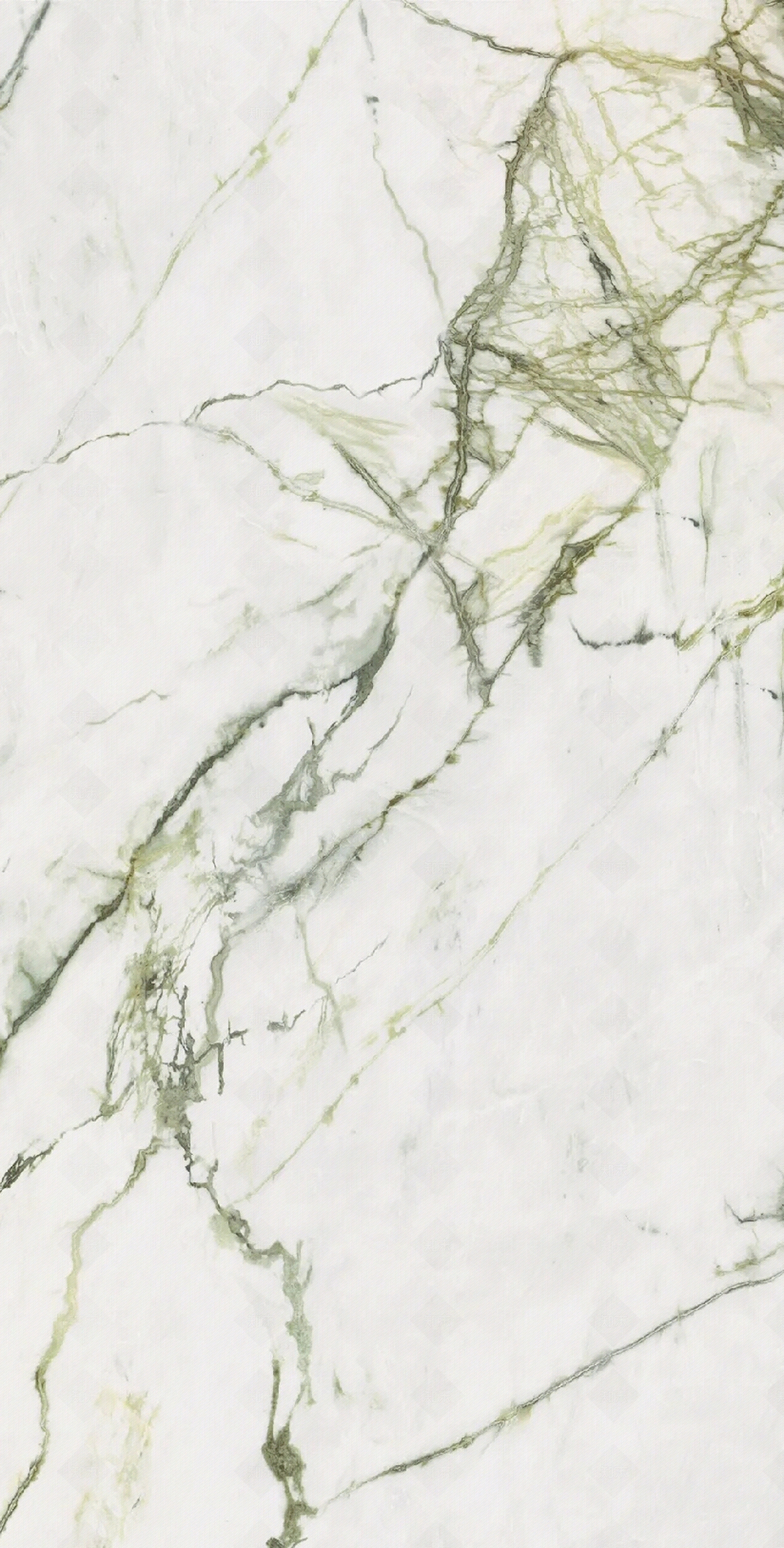 桌青藤大理石瓷砖贴图下载【ID:1121741641】