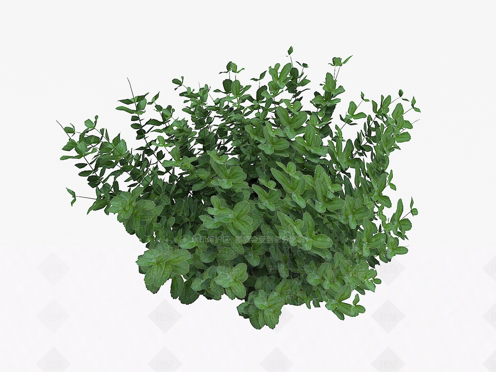 植物植被SU模型下载【ID:1121745522】