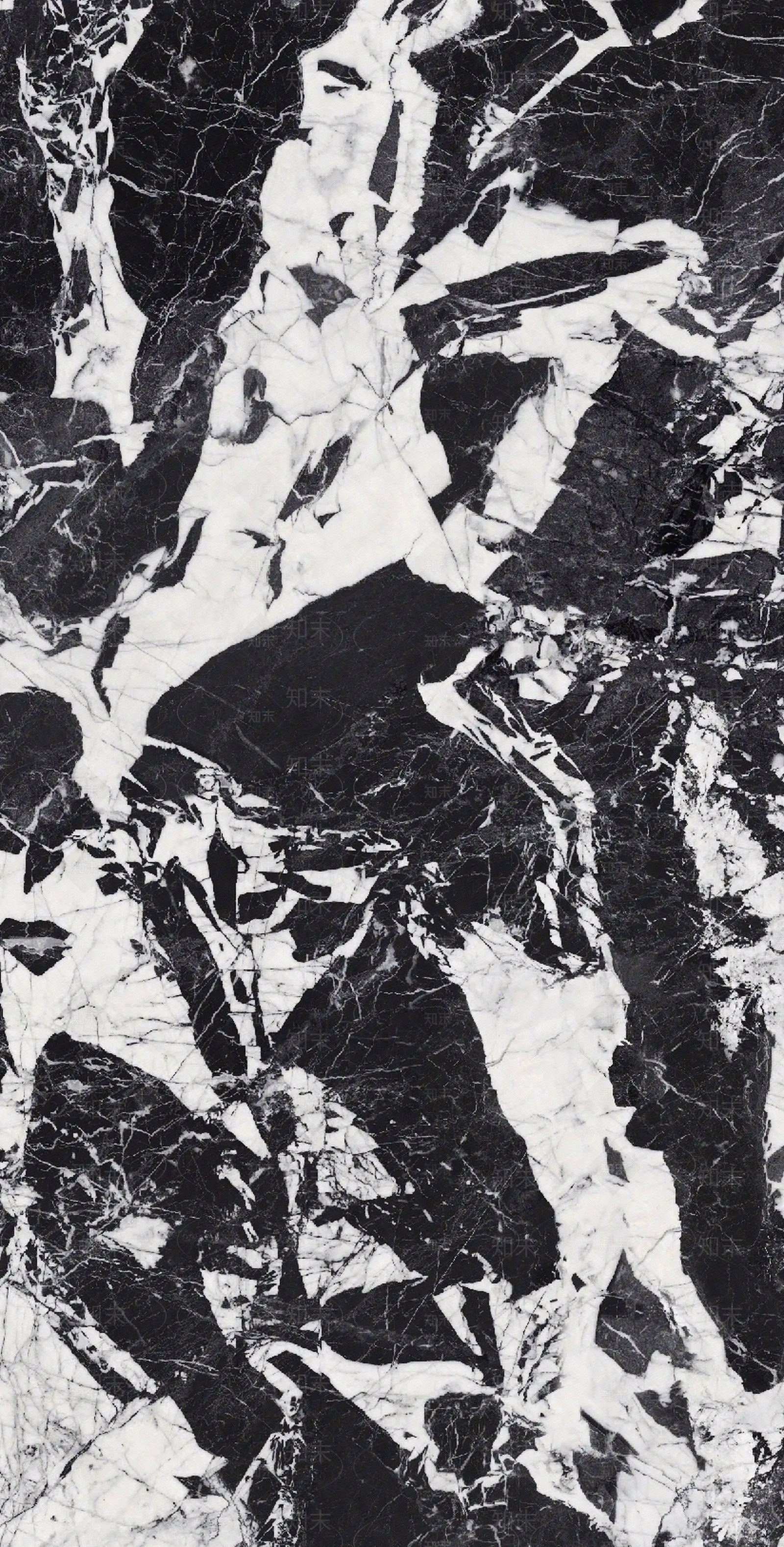宝格丽珍珠黑大理石贴图下载【ID:1121803382】