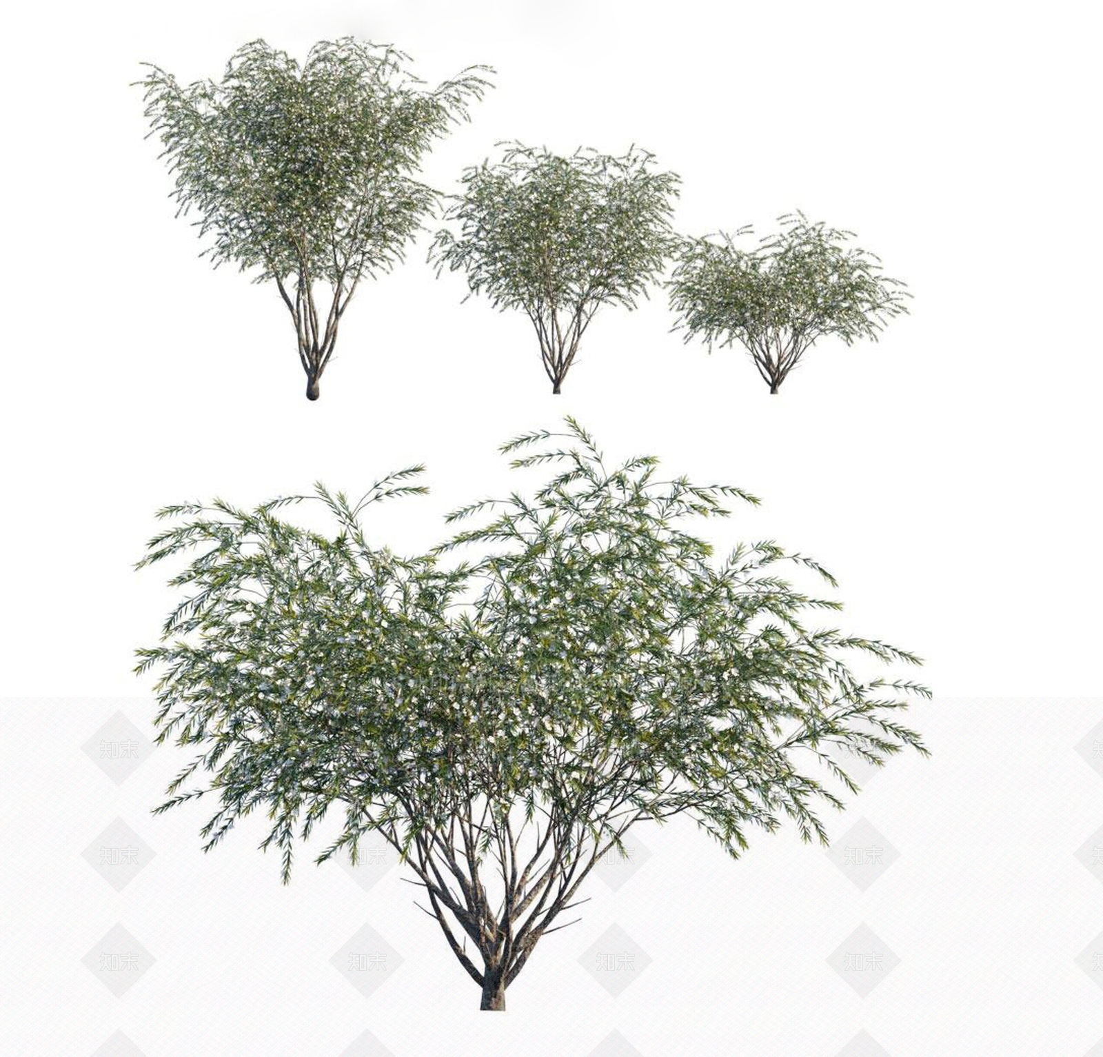 灌木3D模型下载【ID:1121843843】