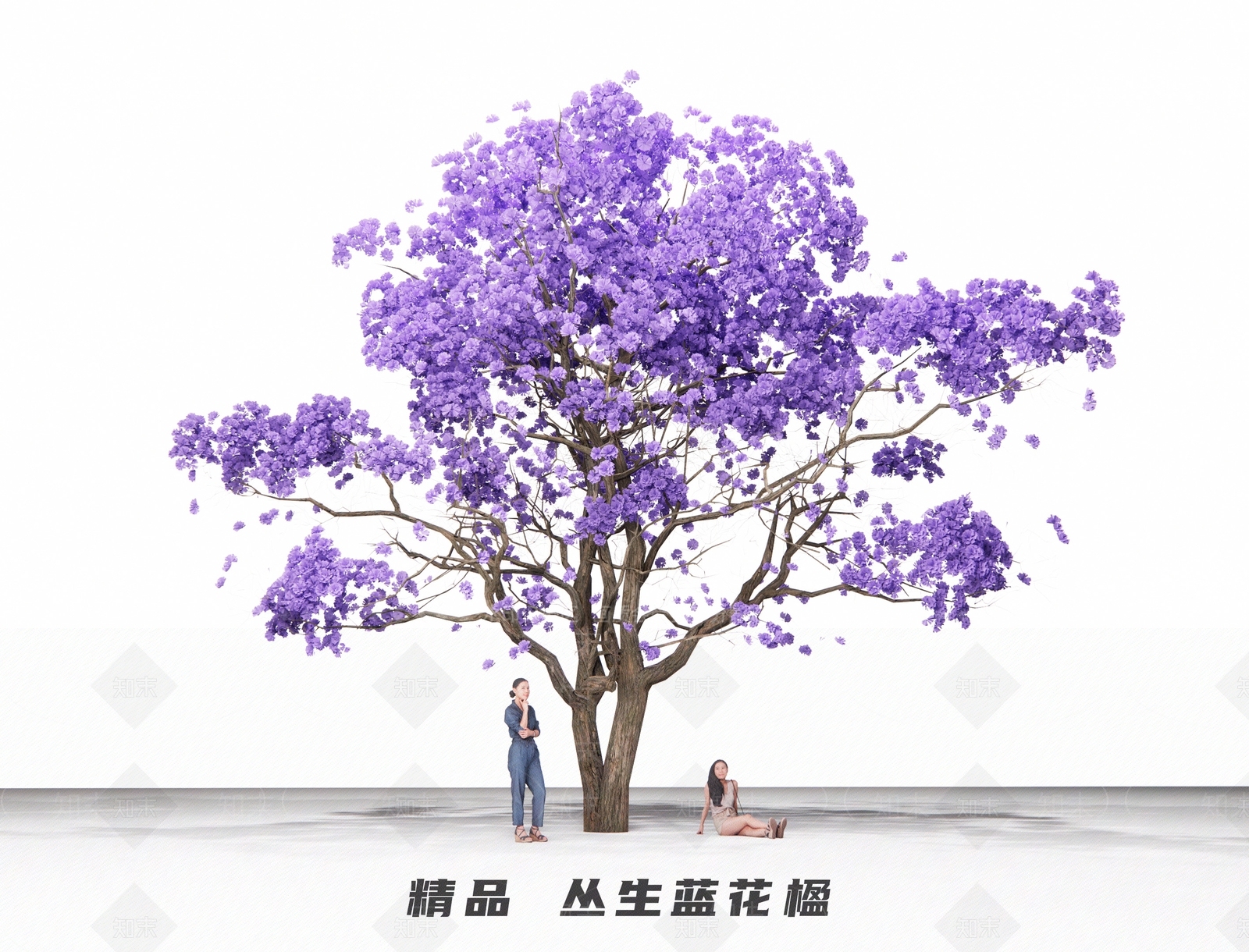 蓝花楹SU模型下载【ID:1121882432】