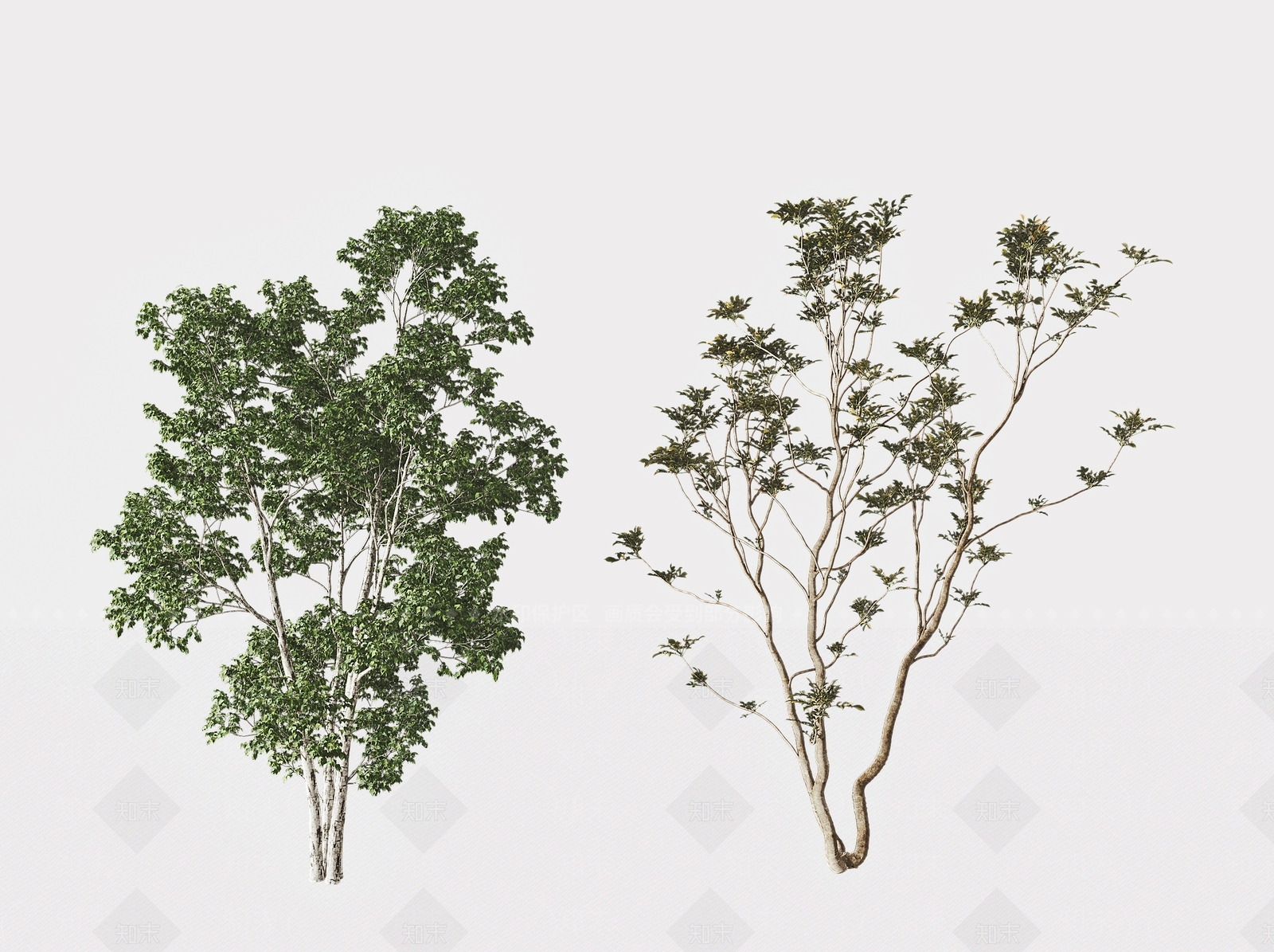 乔木3D模型下载【ID:1121939585】