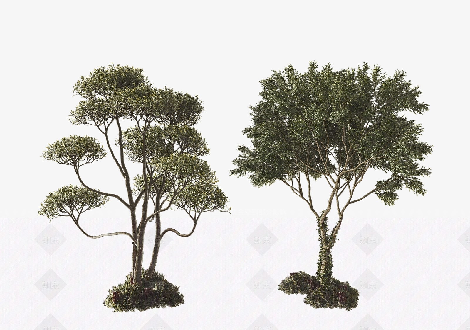 乔木3D模型下载【ID:1121939819】
