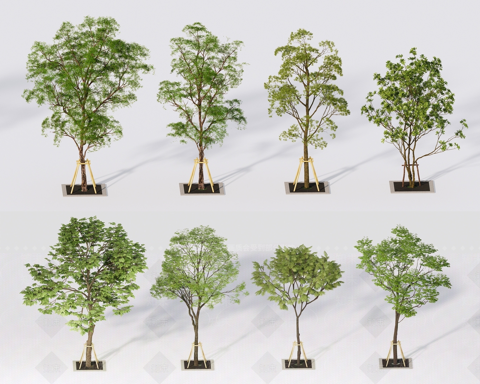行道树SU模型下载【ID:1122002727】