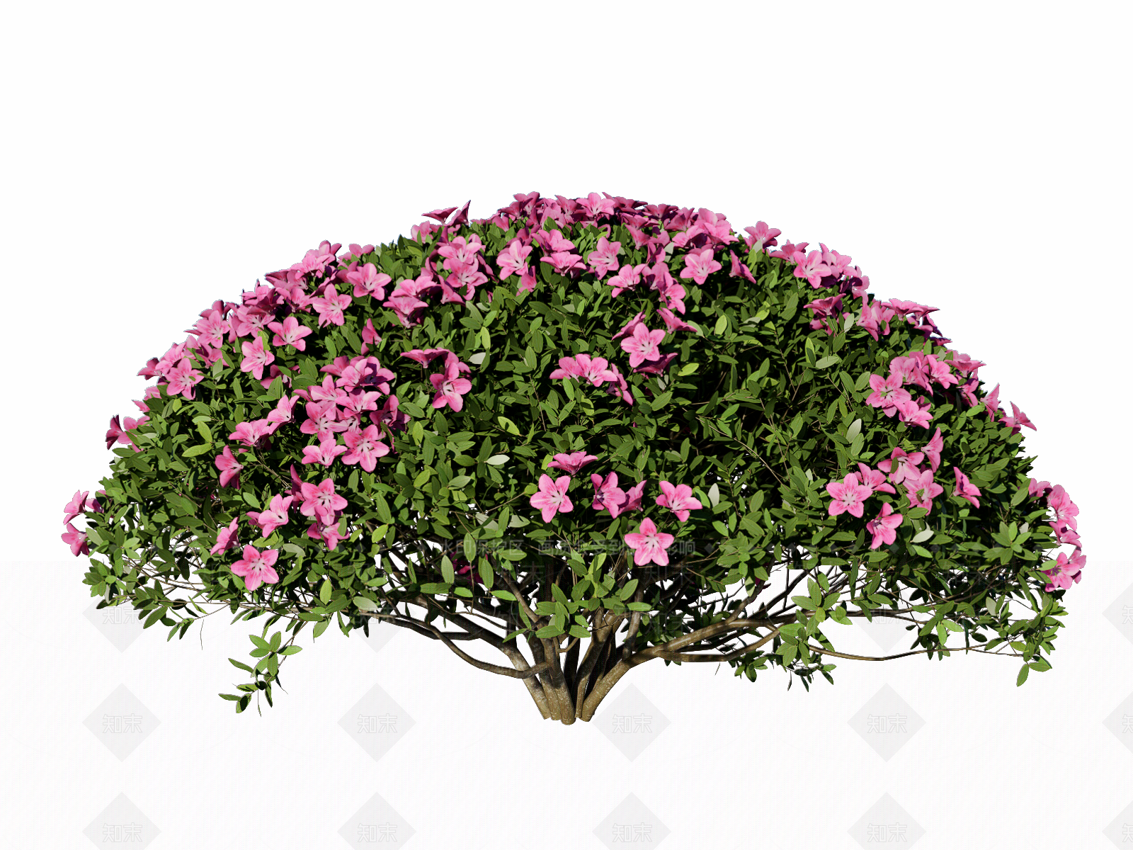 杜鹃花灌木球SU模型下载【ID:1122003365】