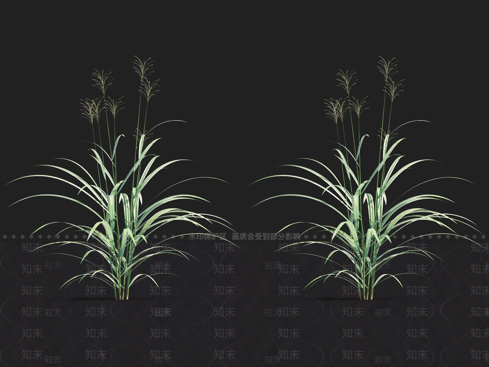 草3D模型下载【ID:1122148310】