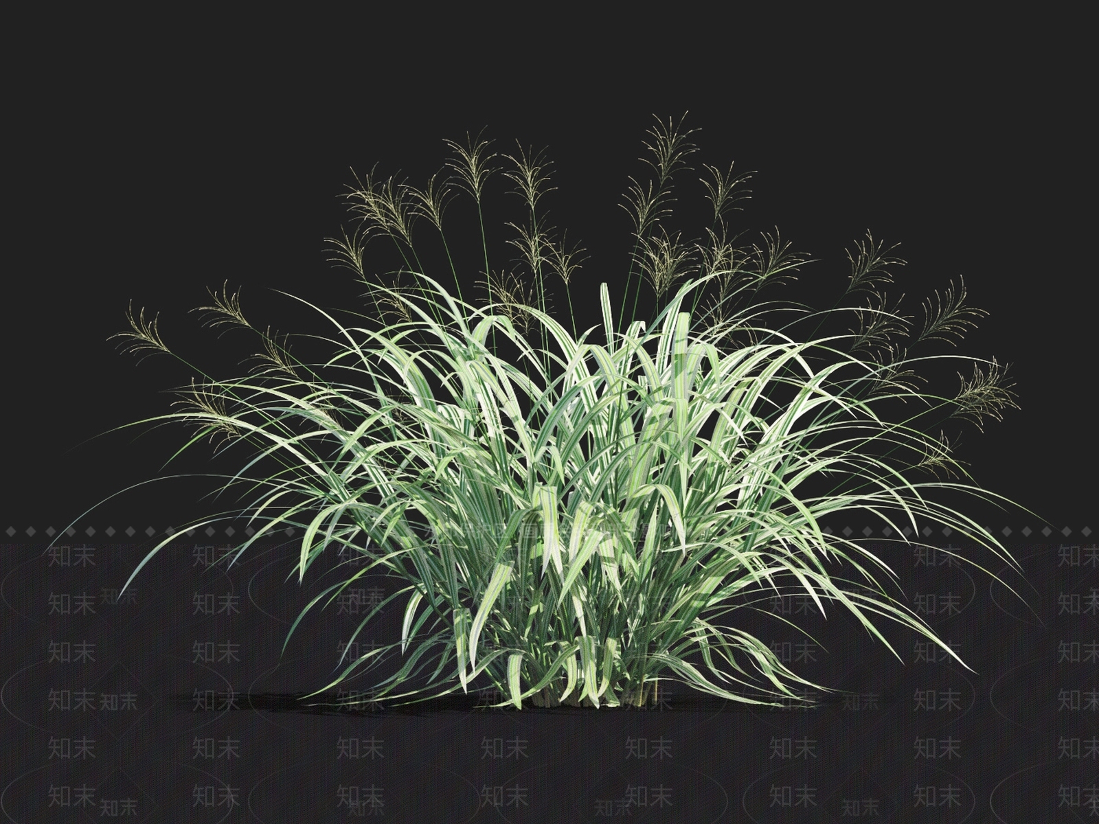 草3D模型下载【ID:1122148316】