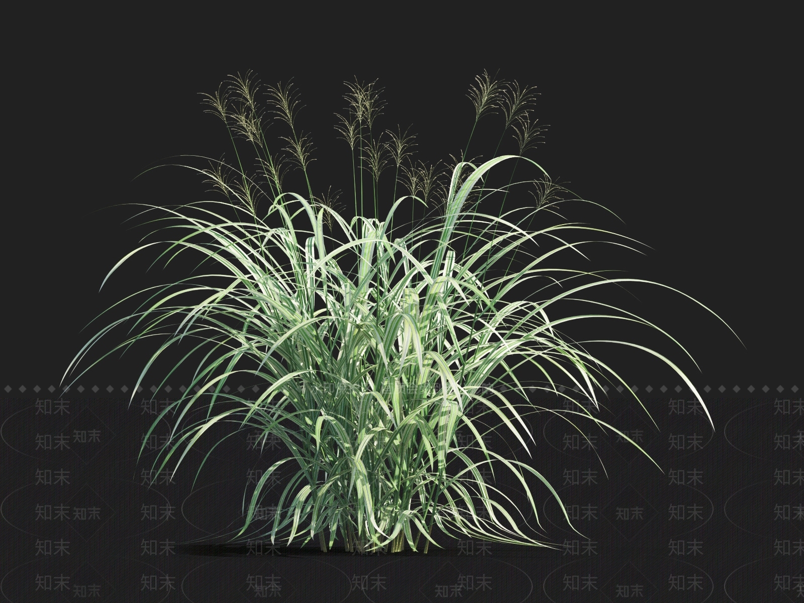 草3D模型下载【ID:1122148450】