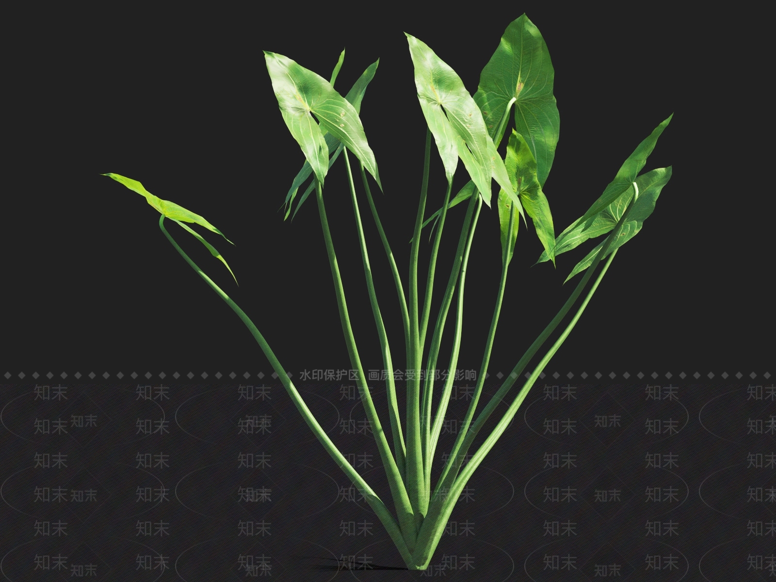 草3D模型下载【ID:1122151624】