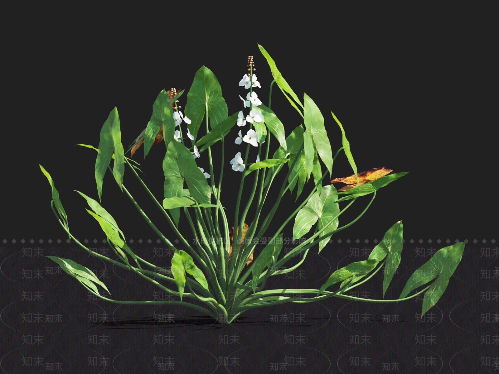 草3D模型下载【ID:1122151875】