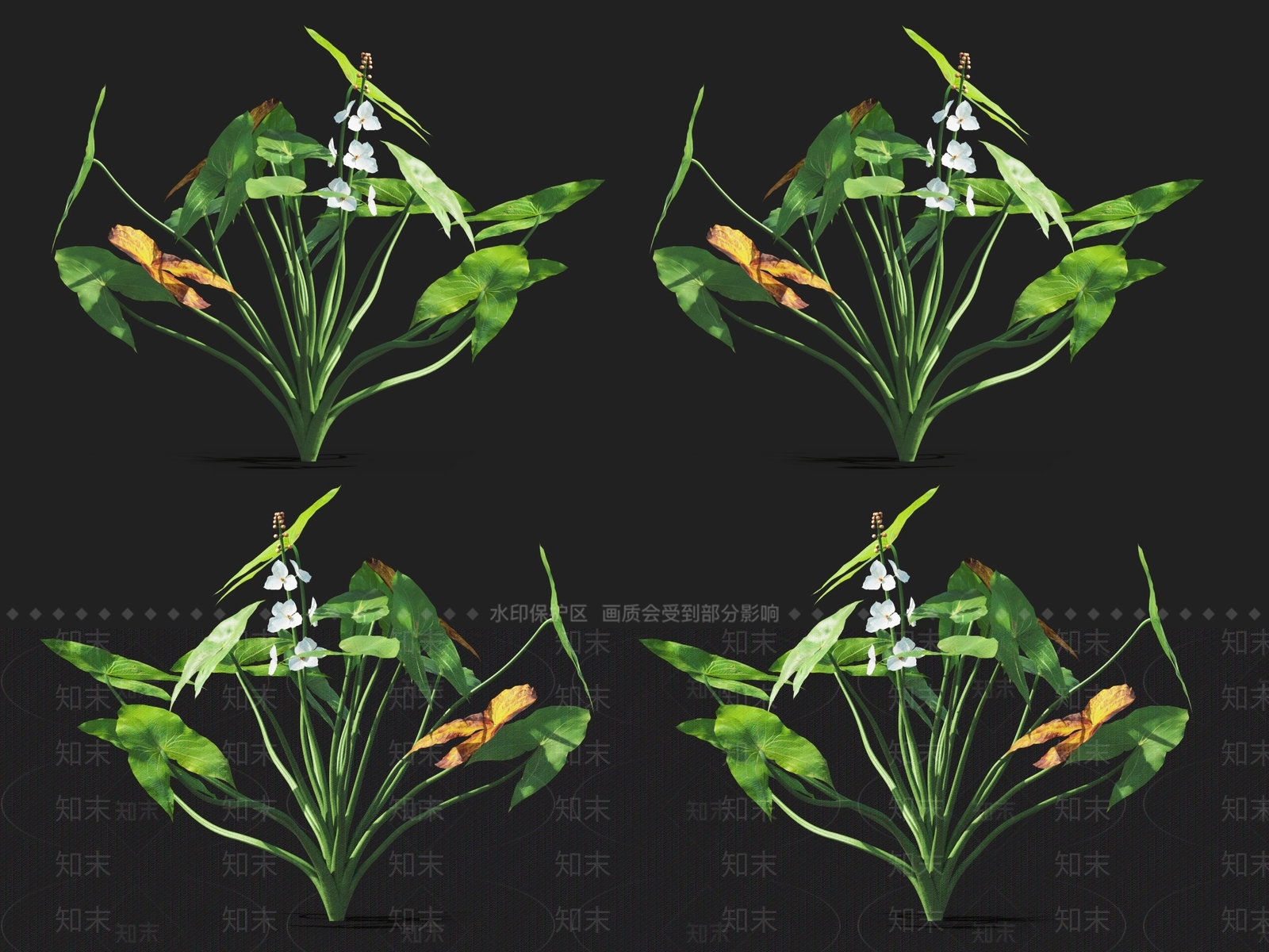 草3D模型下载【ID:1122151857】