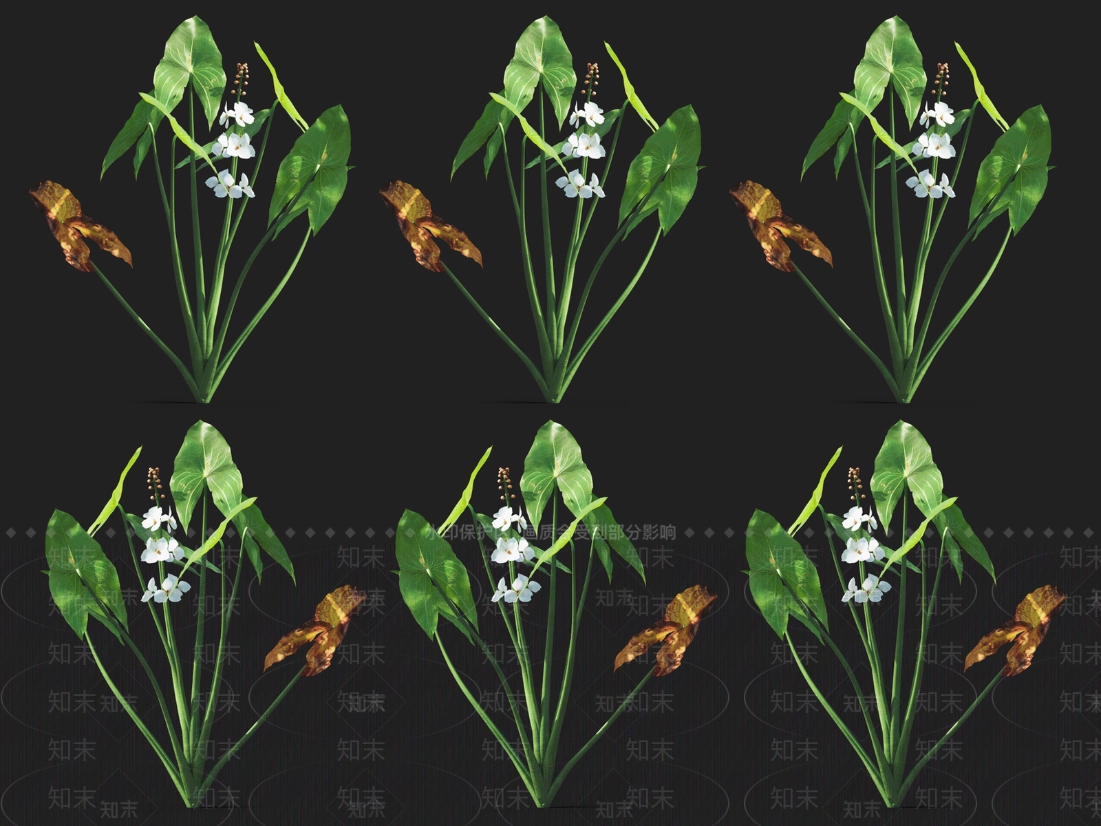 草3D模型下载【ID:1122151950】