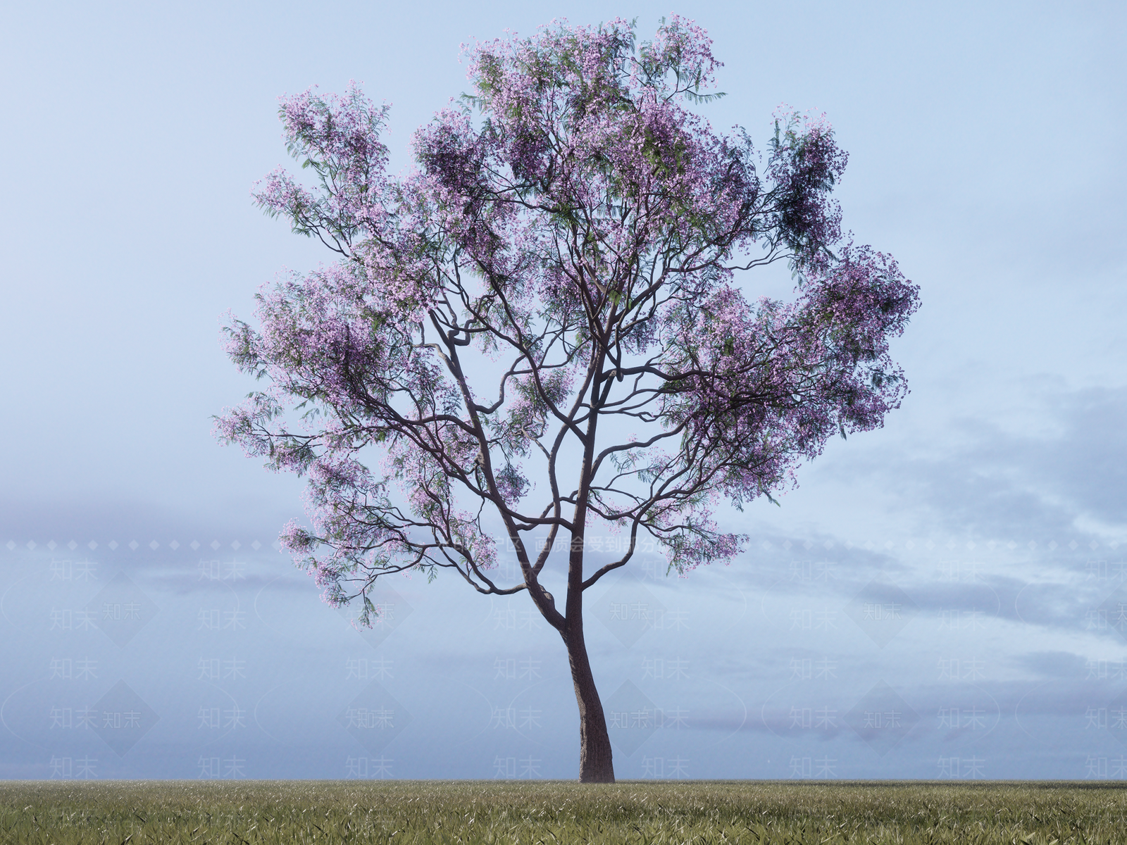 蓝花楹SU模型下载【ID:1122176978】