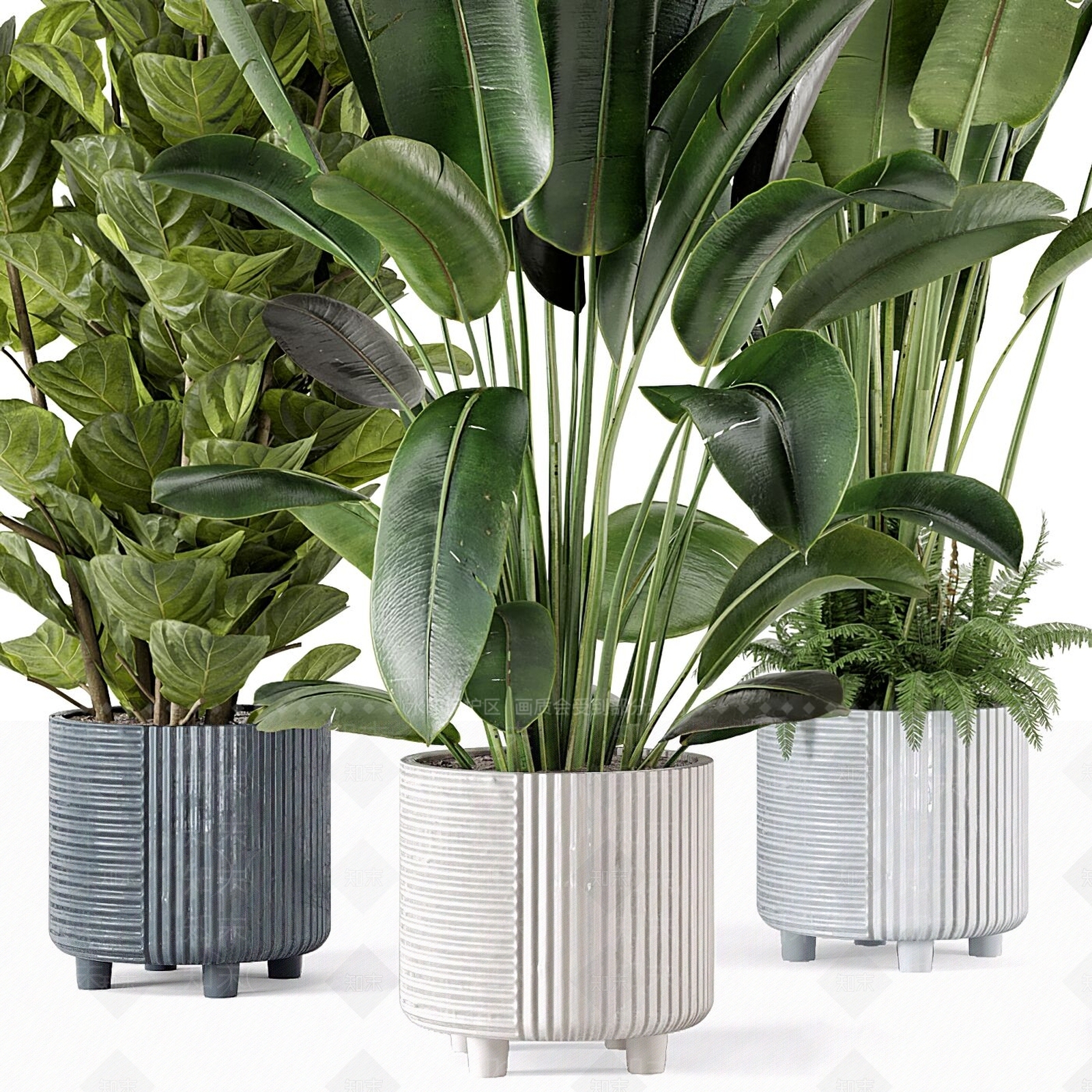 绿植盆栽3D模型下载【ID:1122210549】_知末3d模型网