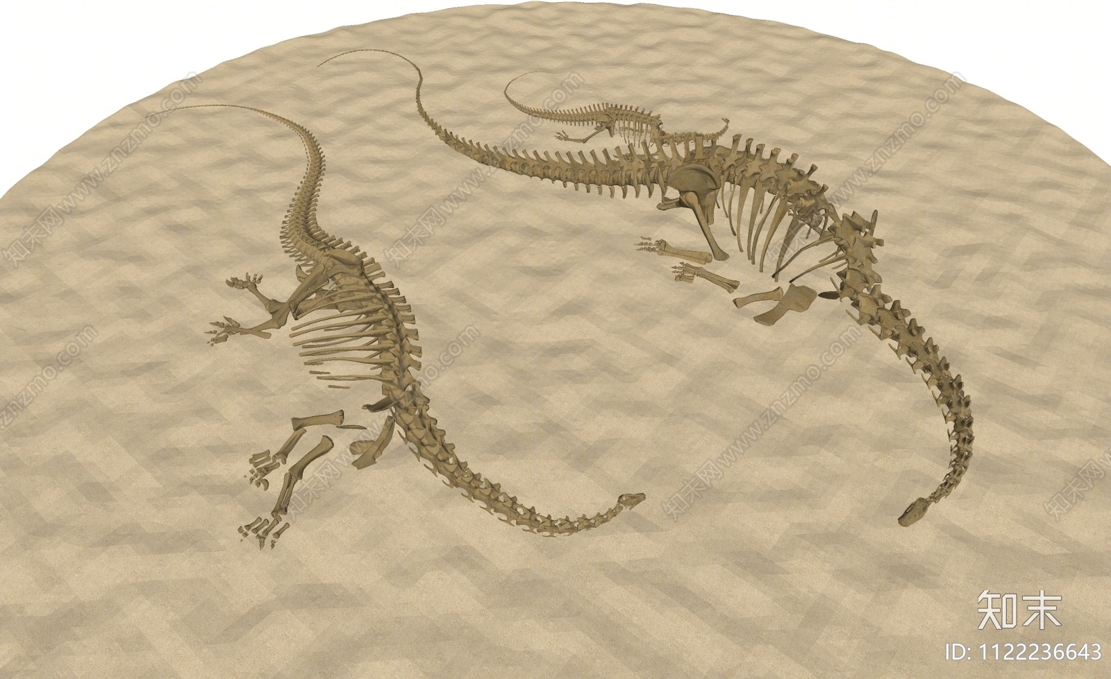 现代恐龙化石SU模型下载【ID:1122236643】