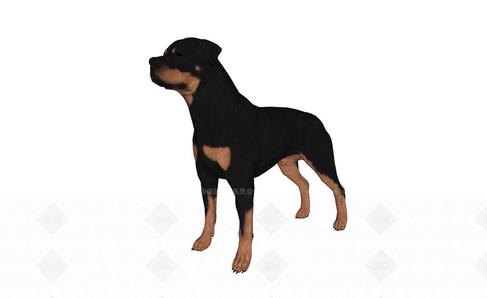 狗SU模型下载【ID:1122348152】