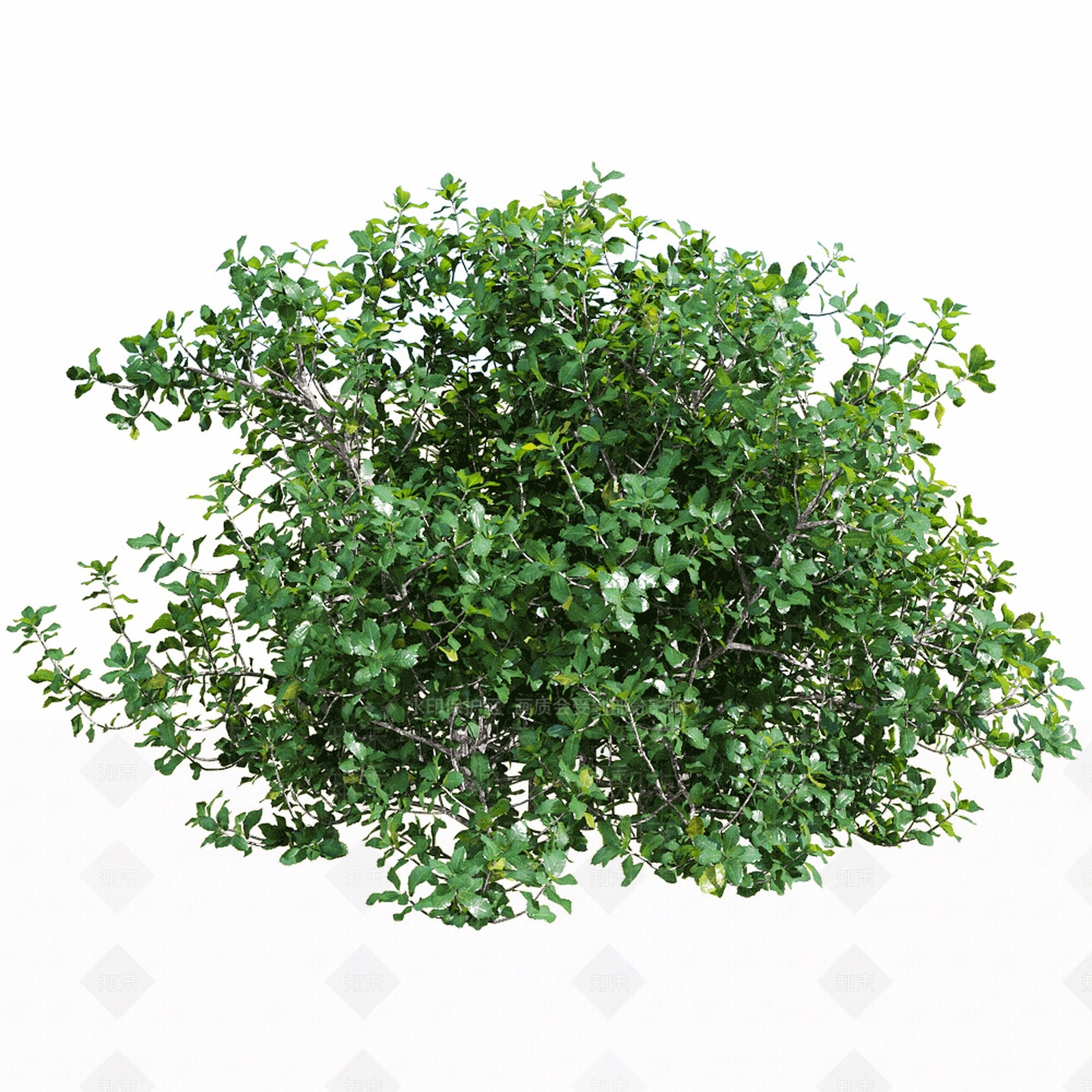 现代藤蔓3D模型下载【ID:1122357409】