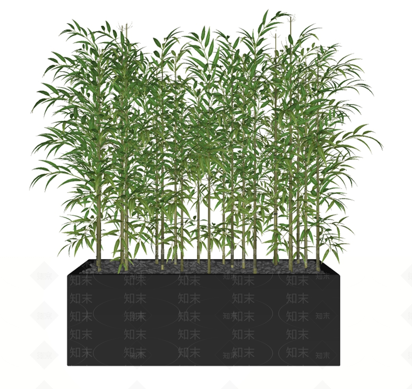 竹子盆栽SU模型下载【ID:1122688008】
