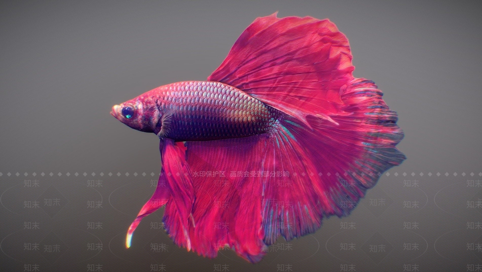 水生类动物SU模型下载【ID:1122653012】