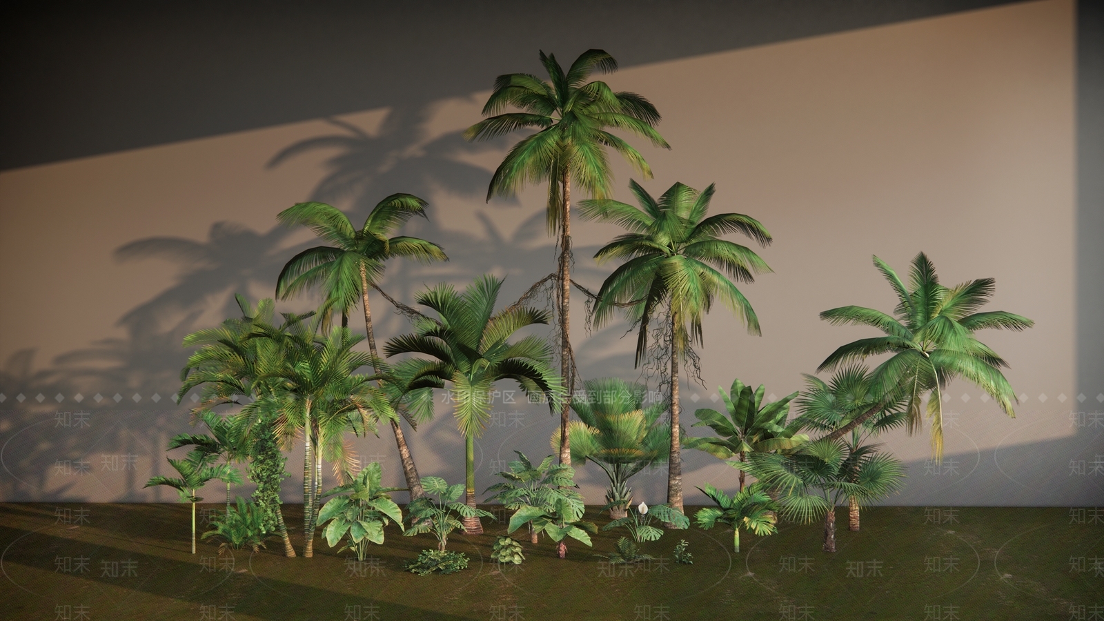 热带景观树SU模型下载【ID:1122795862】