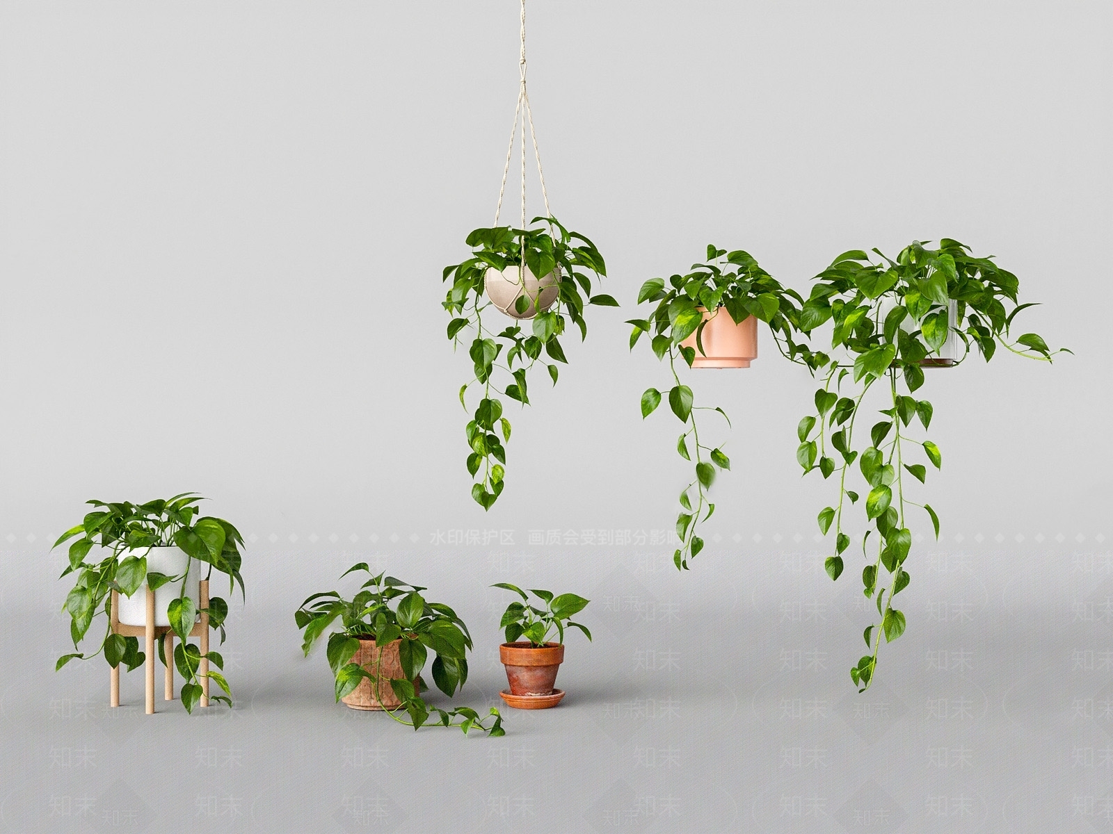 室内盆栽绿萝绿植吊篮植物组合SU模型下载【ID:1123012729】