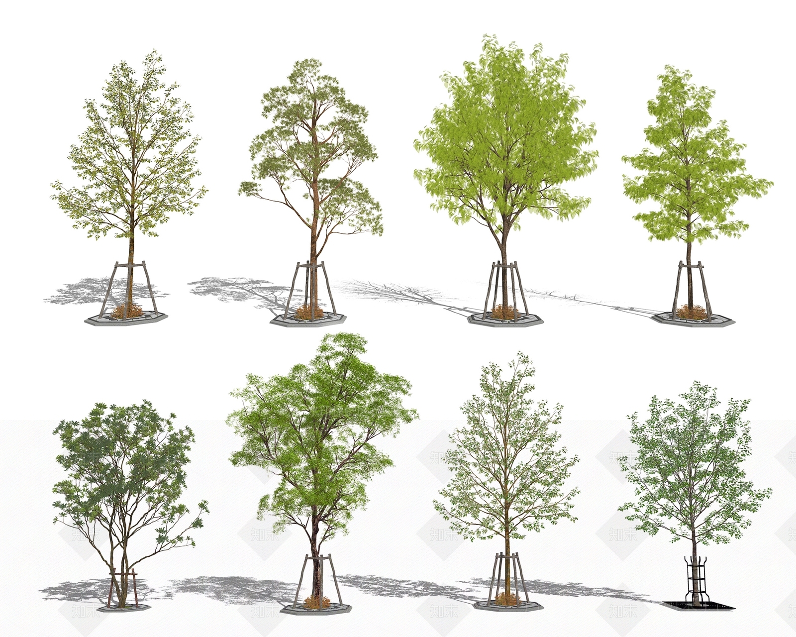 行道树SU模型下载【ID:1123095477】