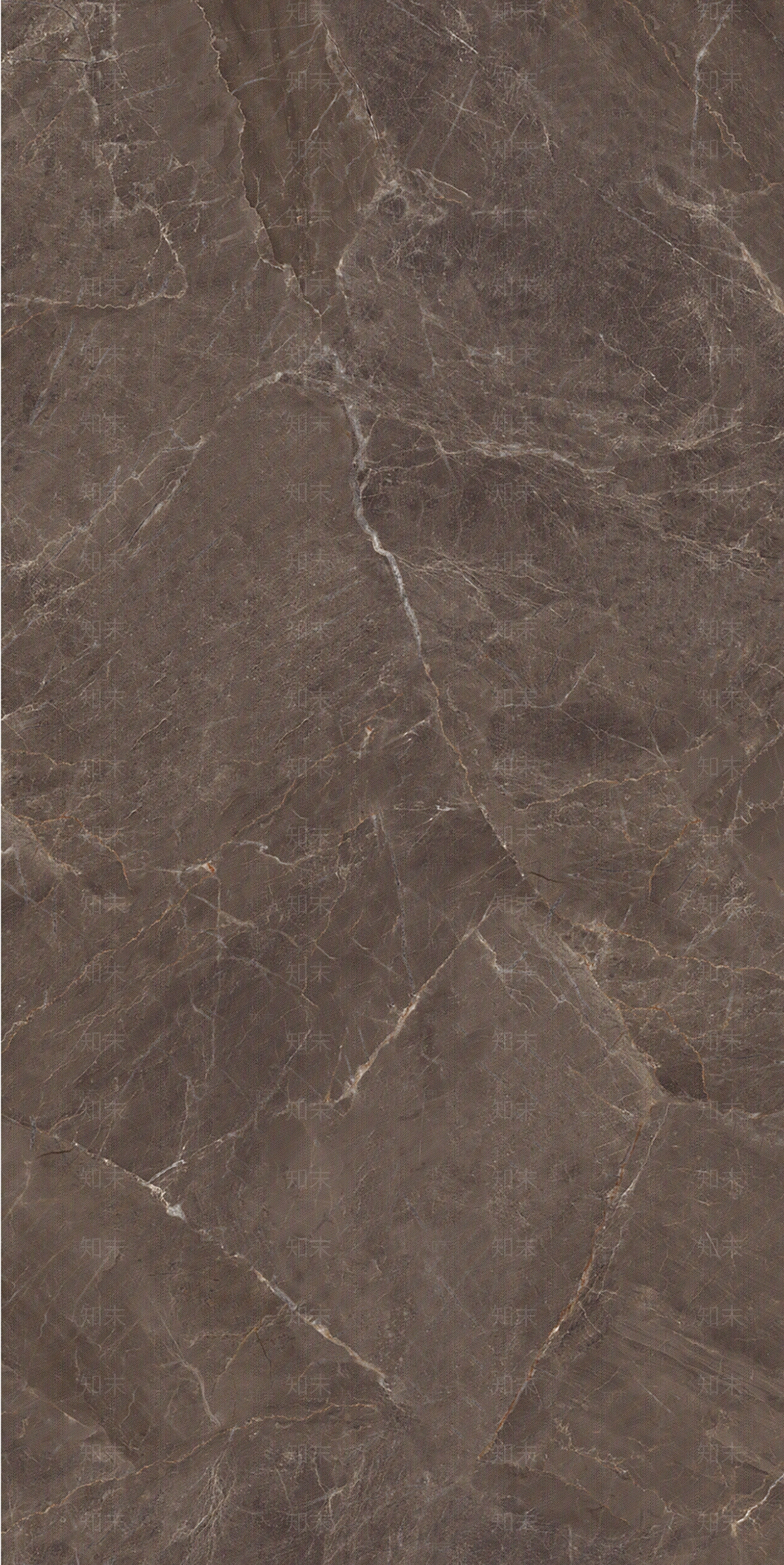 简一贝雅棕色大理石贴图下载【ID:1123116965】
