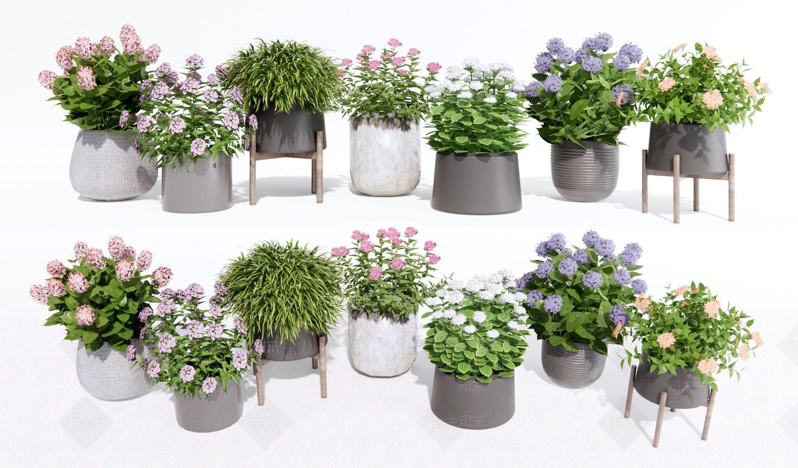 花卉植物盆栽3D模型下载【ID:1123257982】