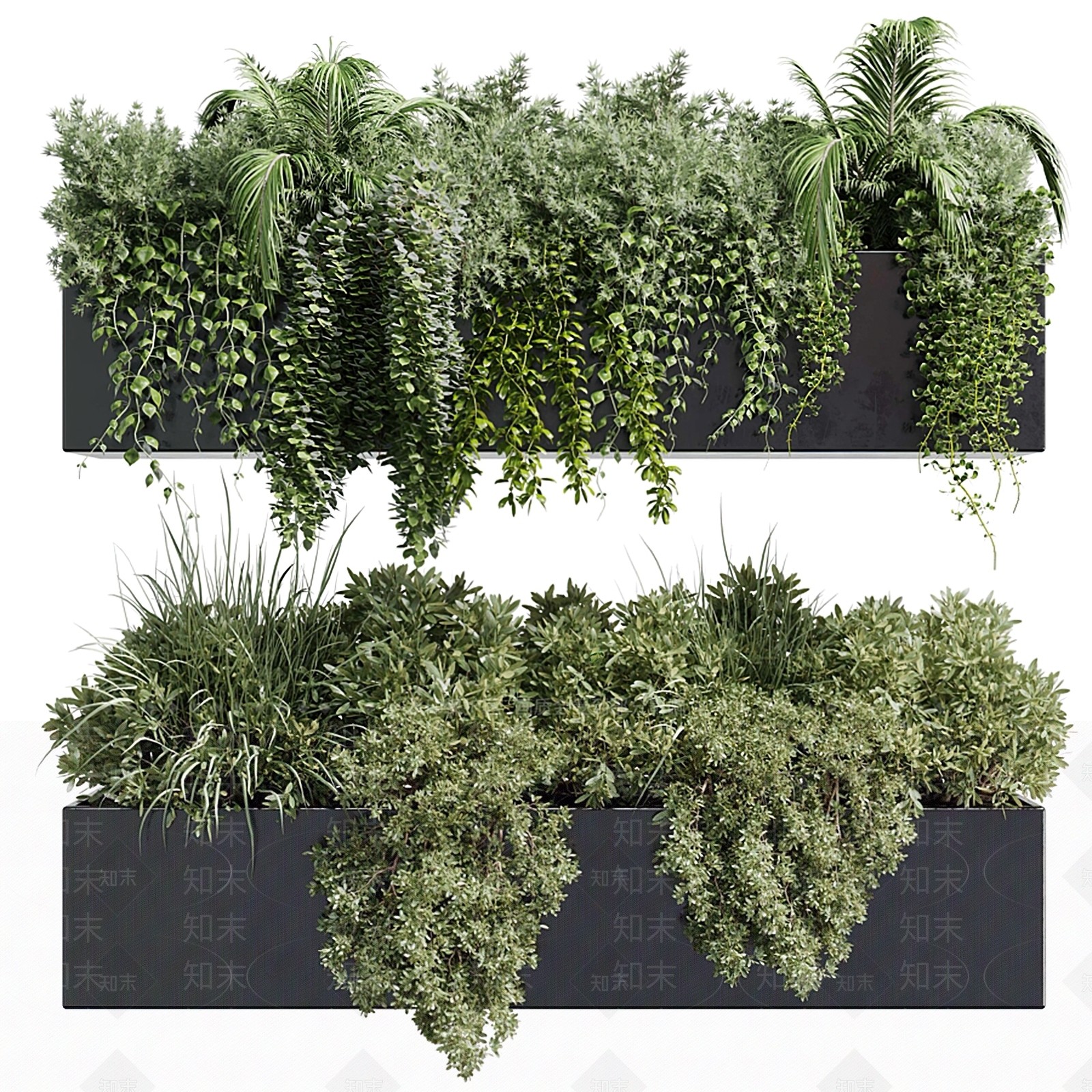 植物花箱3D模型下载【ID:1123274829】