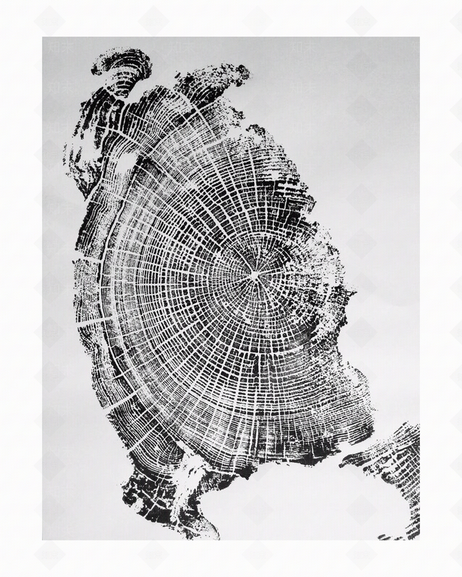 年轮拓印装饰画贴图下载【ID:1123317661】