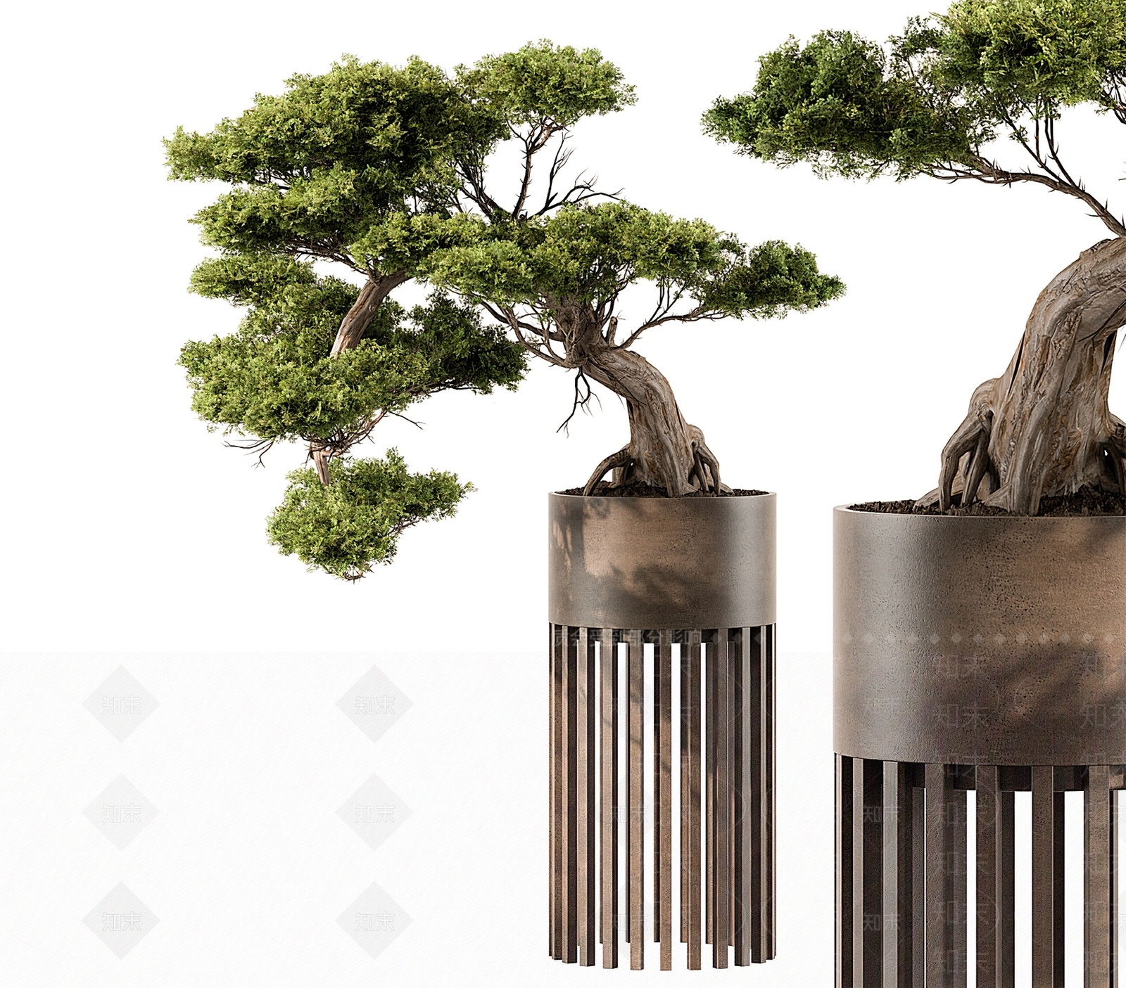 松树盆栽3D模型下载【ID:1123546247】