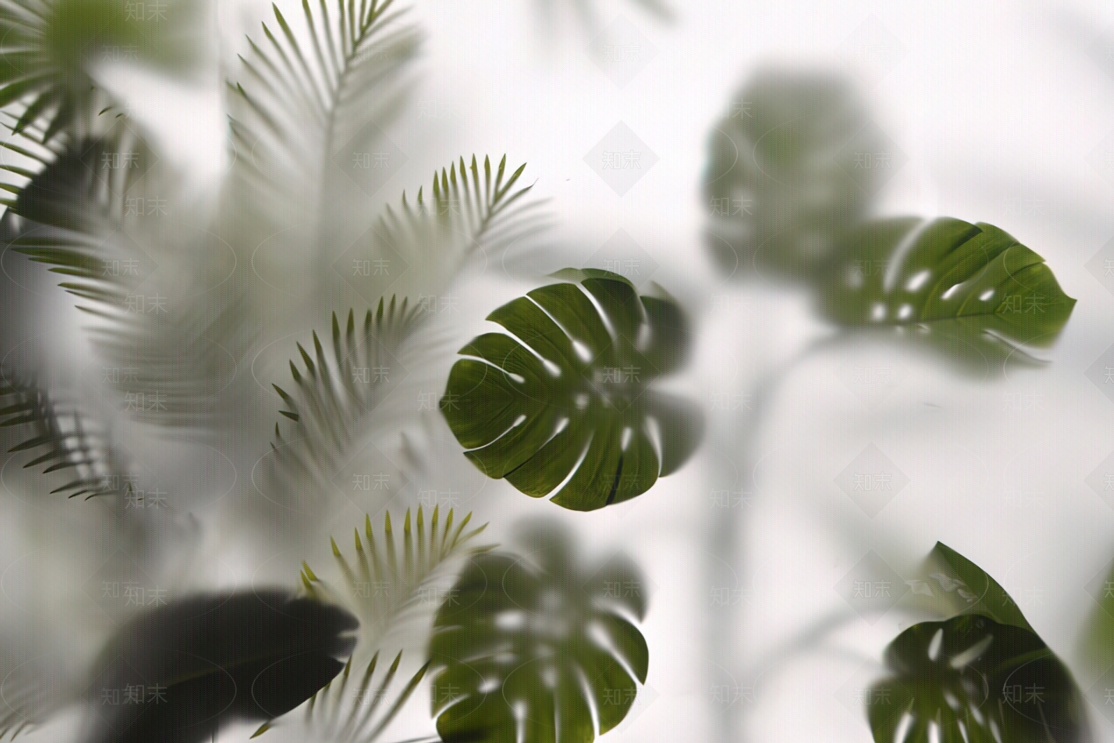 植物艺术磨砂玻璃贴图下载【ID:1123566967】