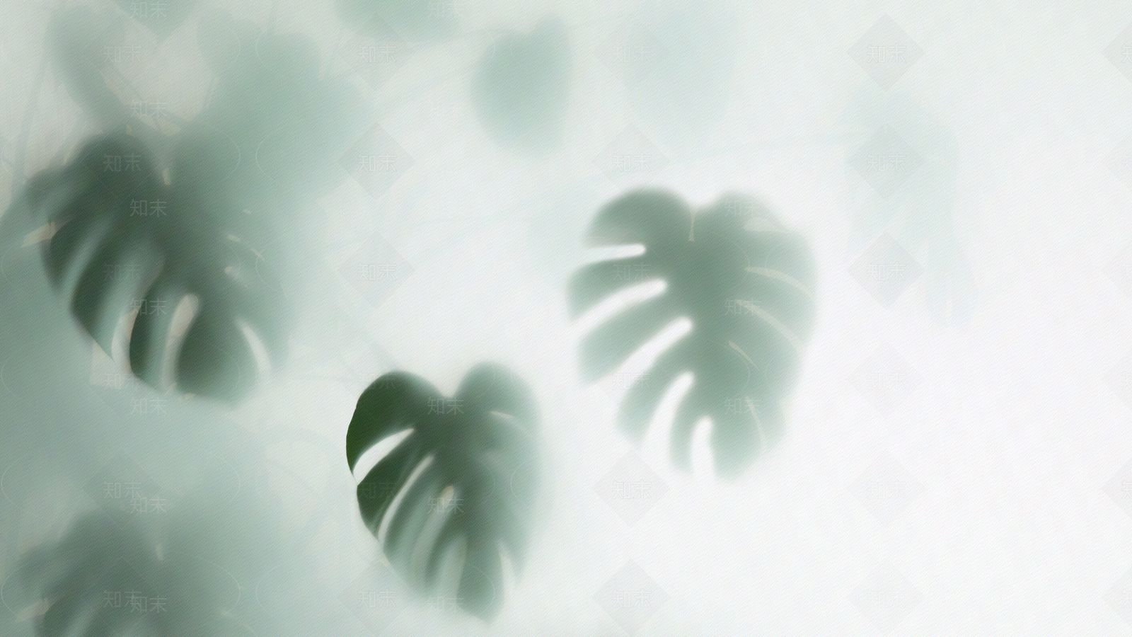 植物纹理艺术磨砂玻璃贴图下载【ID:1123566890】