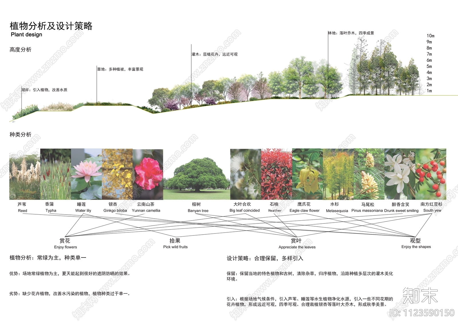 植物分析psd免抠下载【ID:1123590150】