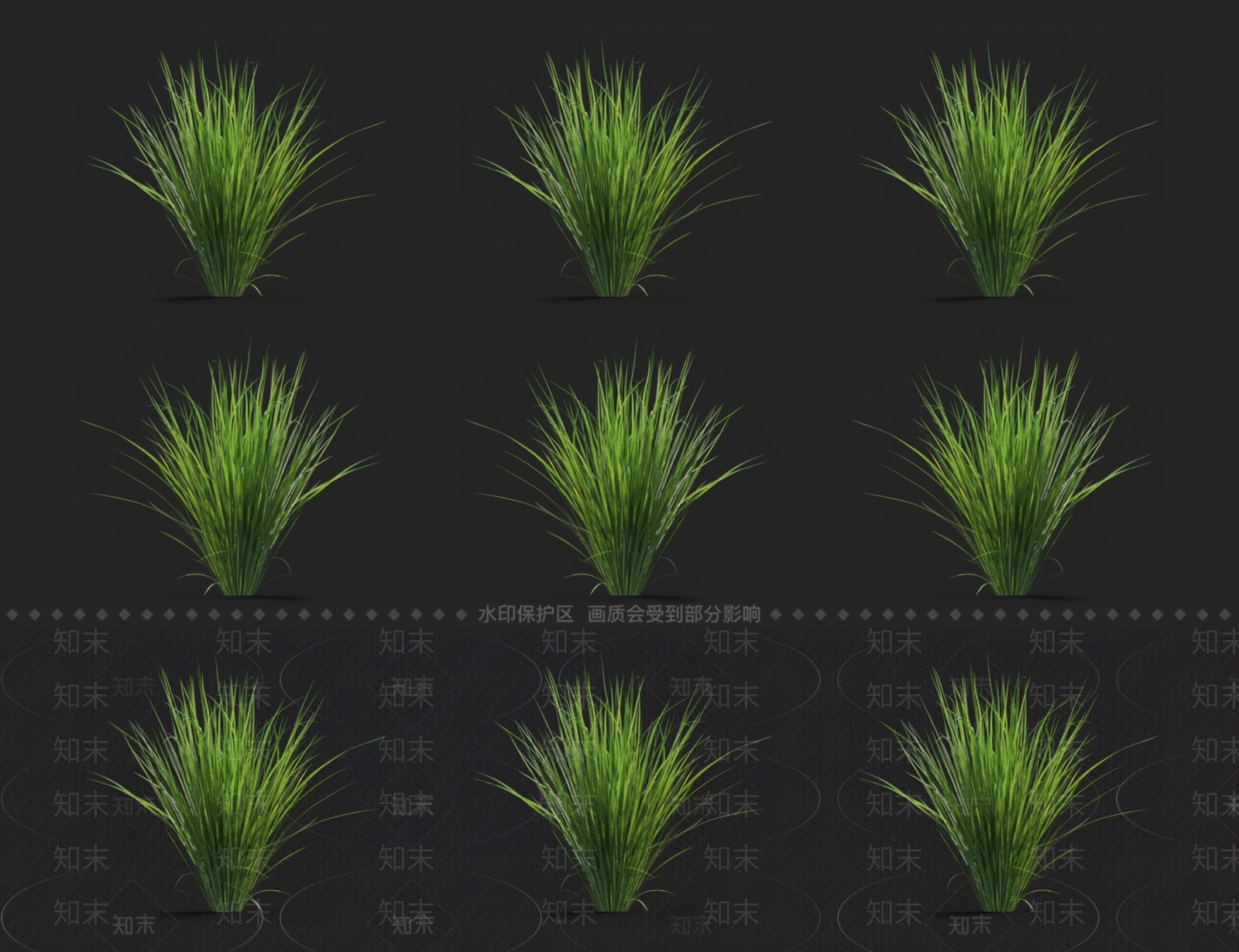 野青茅3D模型下载【ID:1123640504】