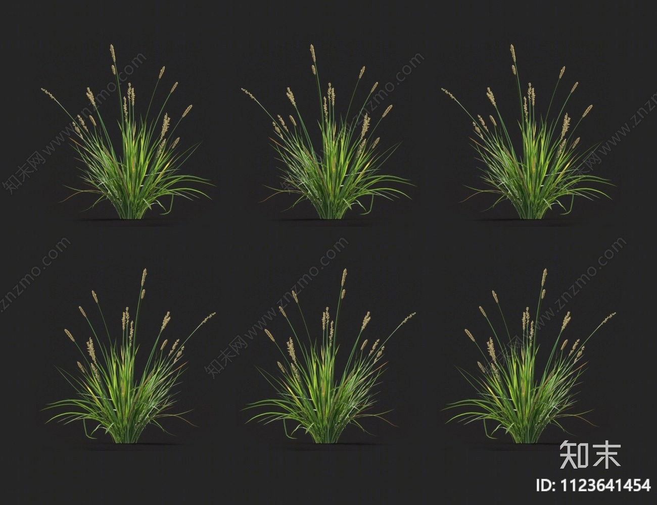 青草3D模型下载【ID:1123641454】