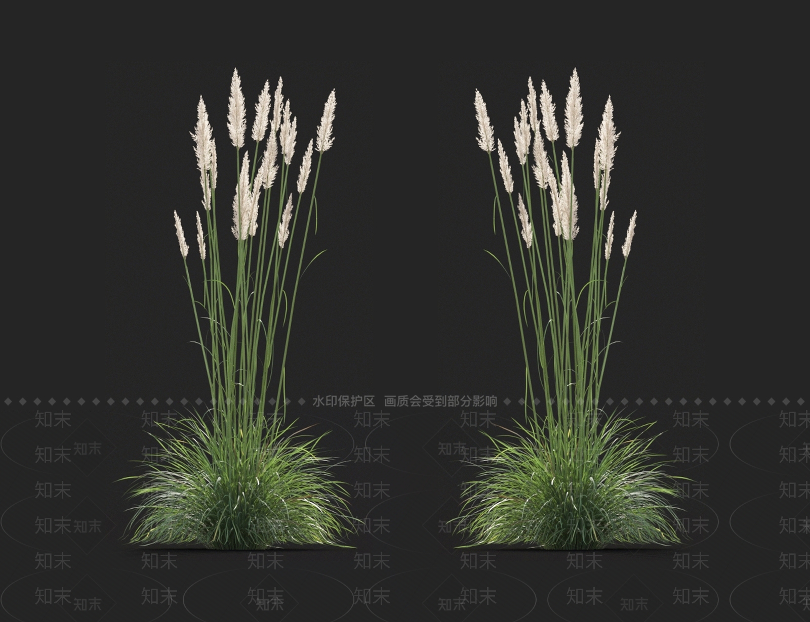 青草3D模型下载【ID:1123641711】