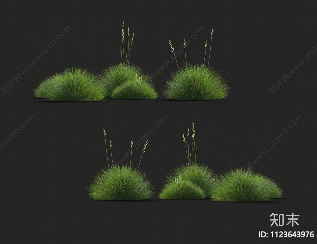 高羊茅3D模型下载【ID:1123643976】