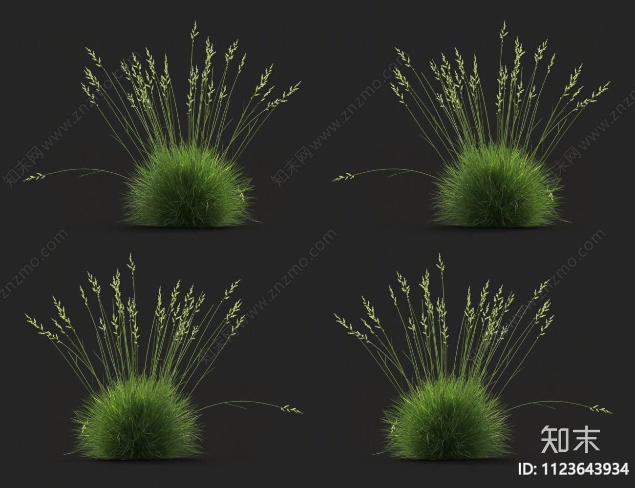 高羊茅3D模型下载【ID:1123643934】