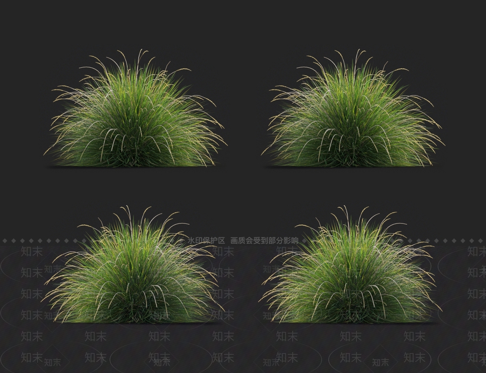 野青茅3D模型下载【ID:1123648391】