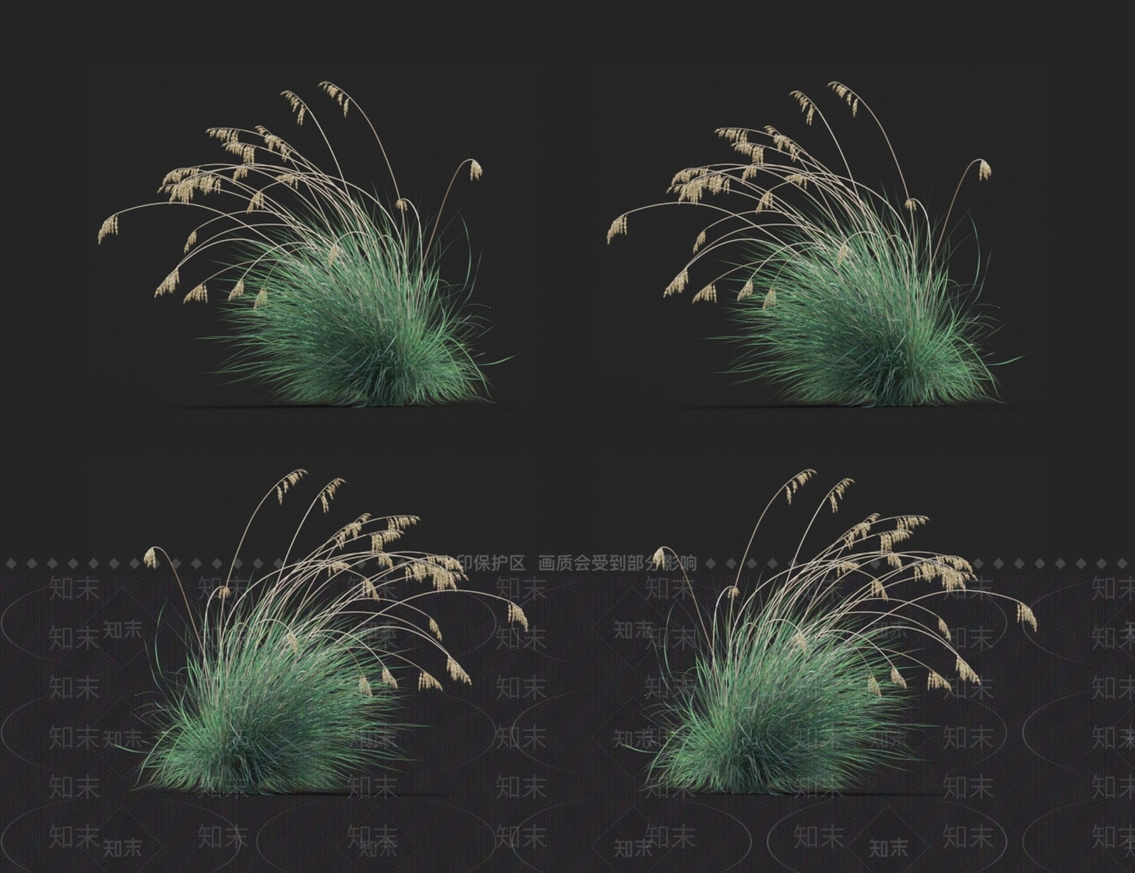 野青茅3D模型下载【ID:1123657183】