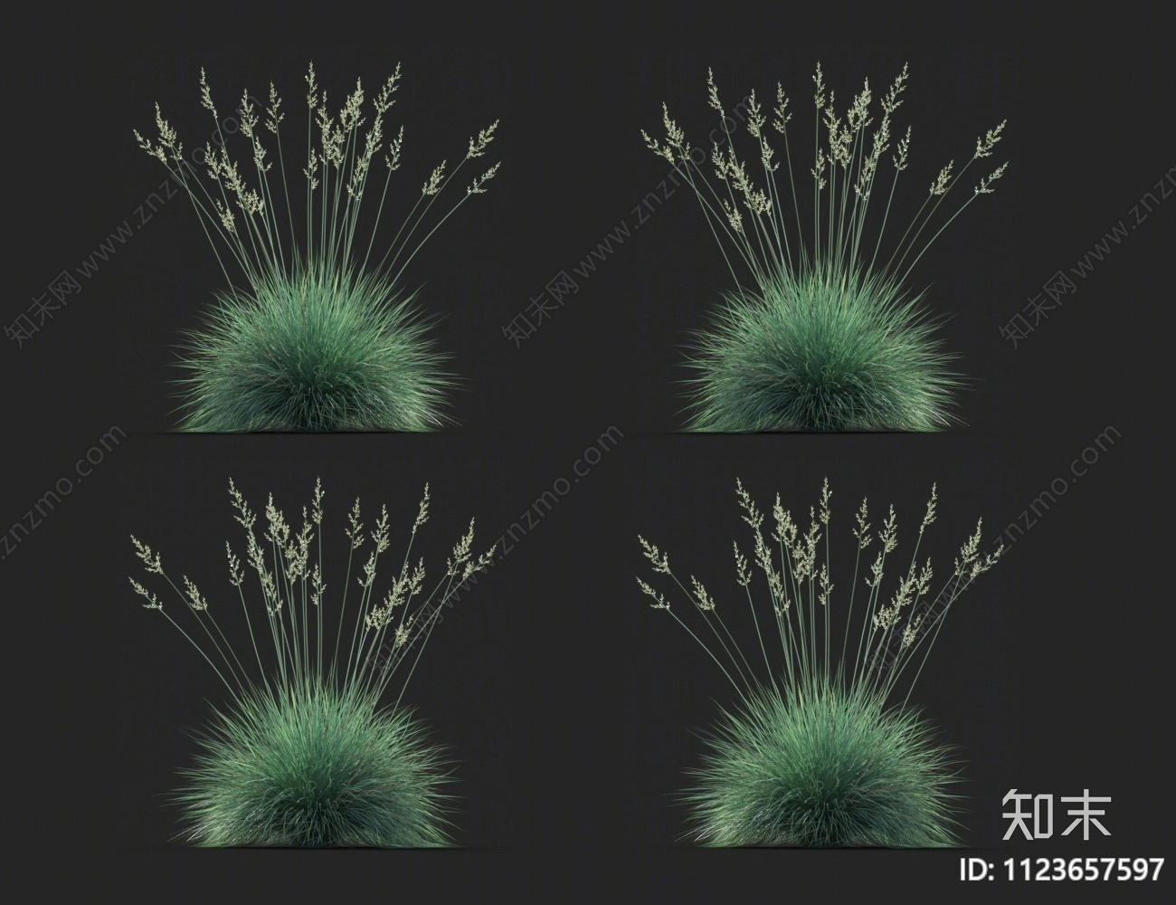 野青茅3D模型下载【ID:1123657597】