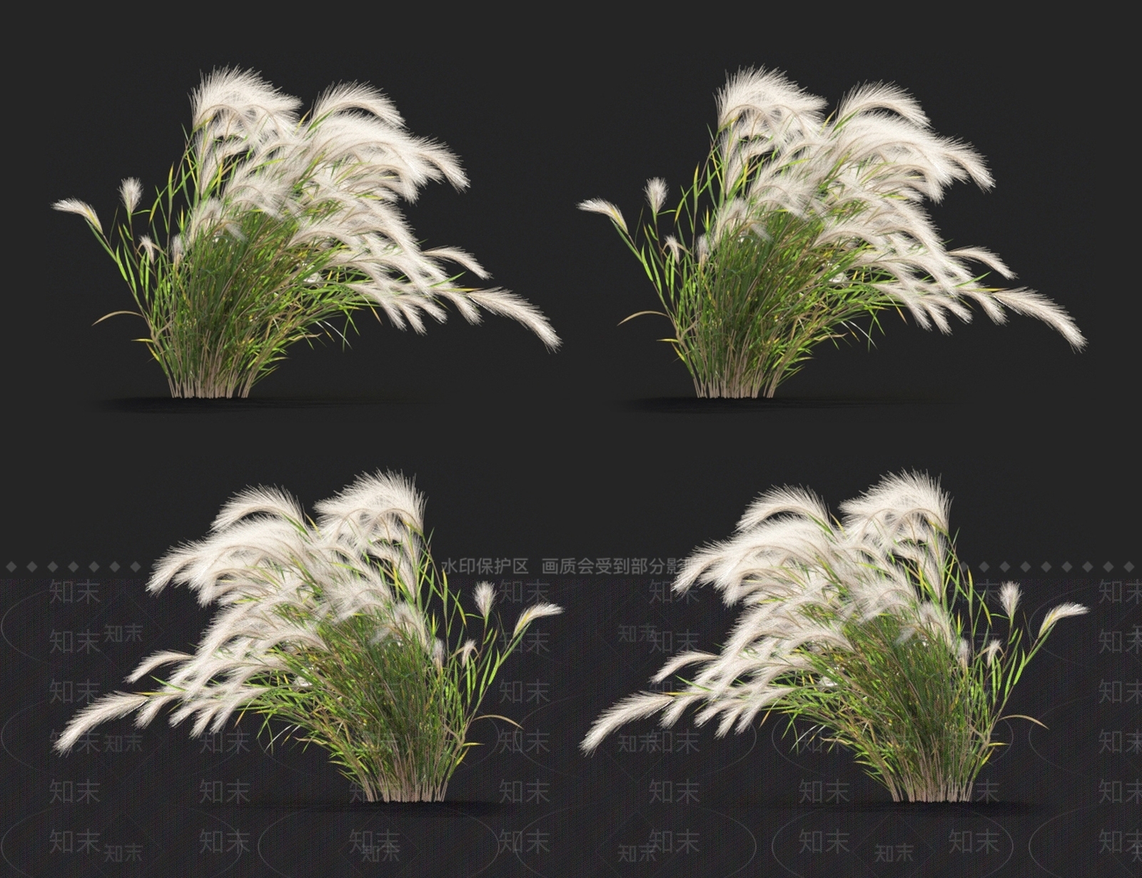 大麦草3D模型下载【ID:1123661825】
