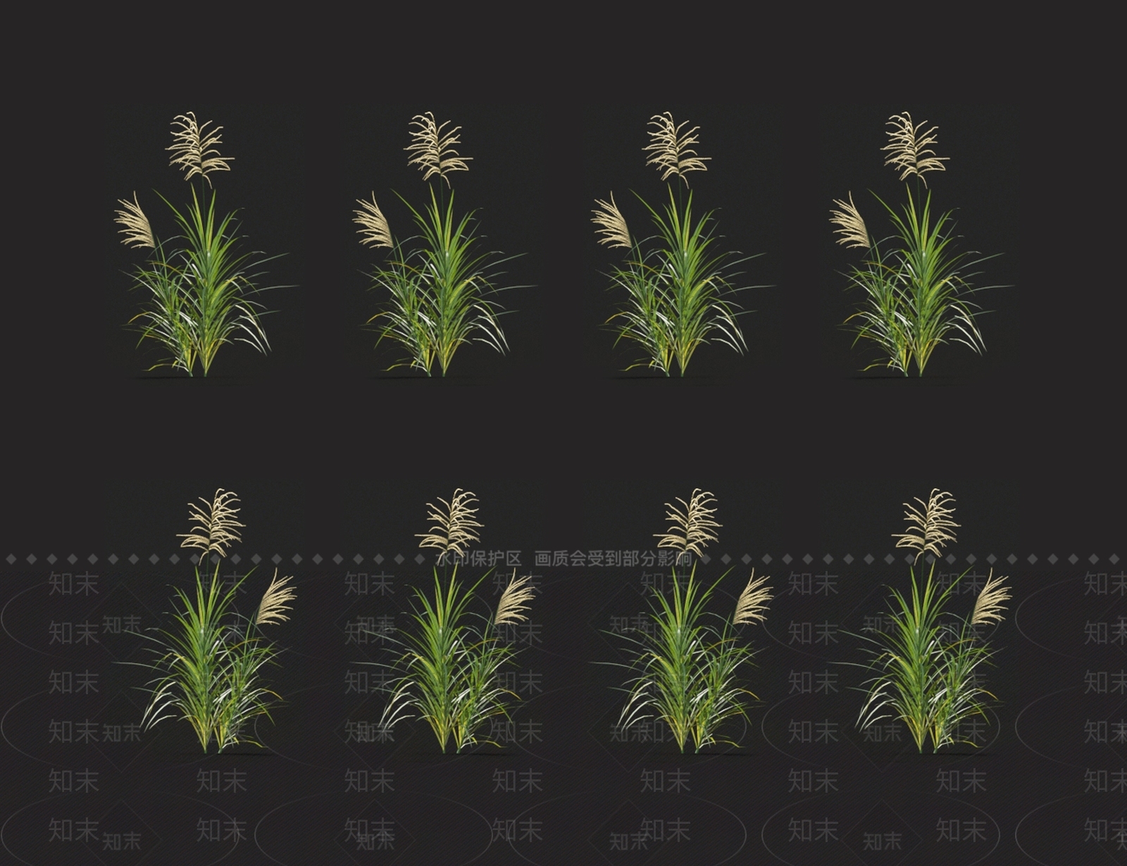 芒草3D模型下载【ID:1123671775】