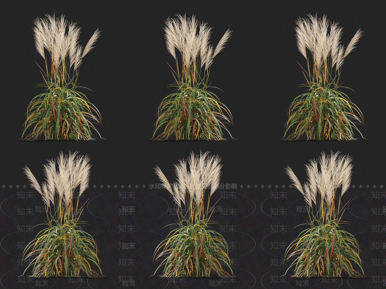 草3D模型下载【ID:1123688359】