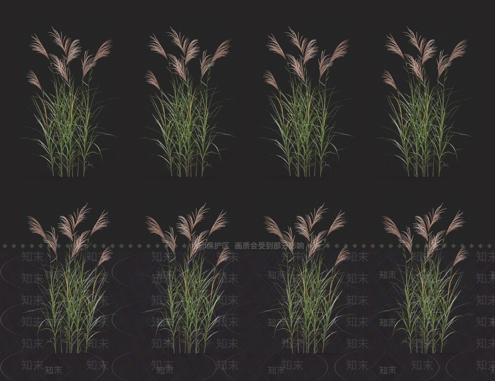 紫芒3D模型下载【ID:1123688724】