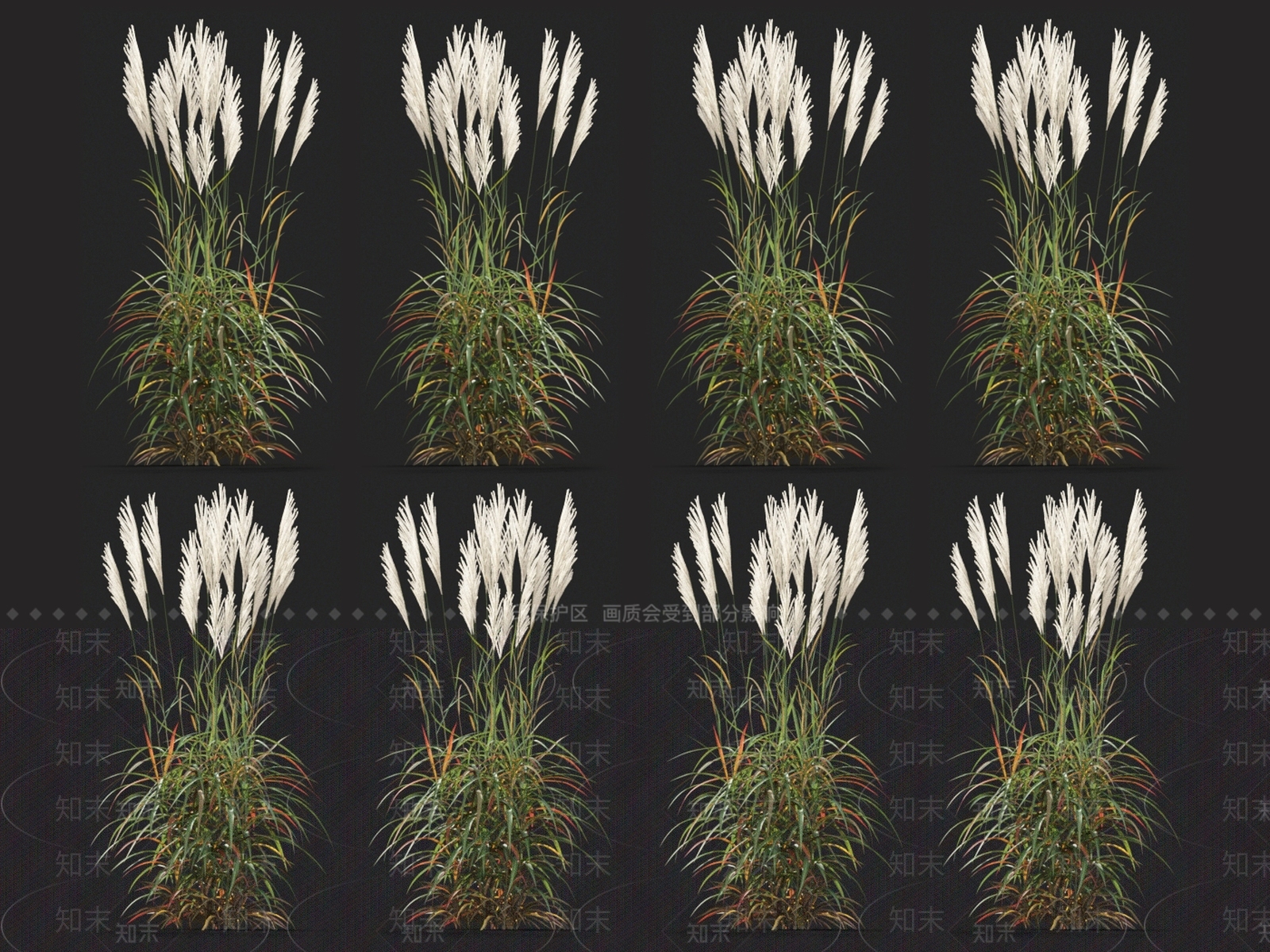 荻草3D模型下载【ID:1123689117】