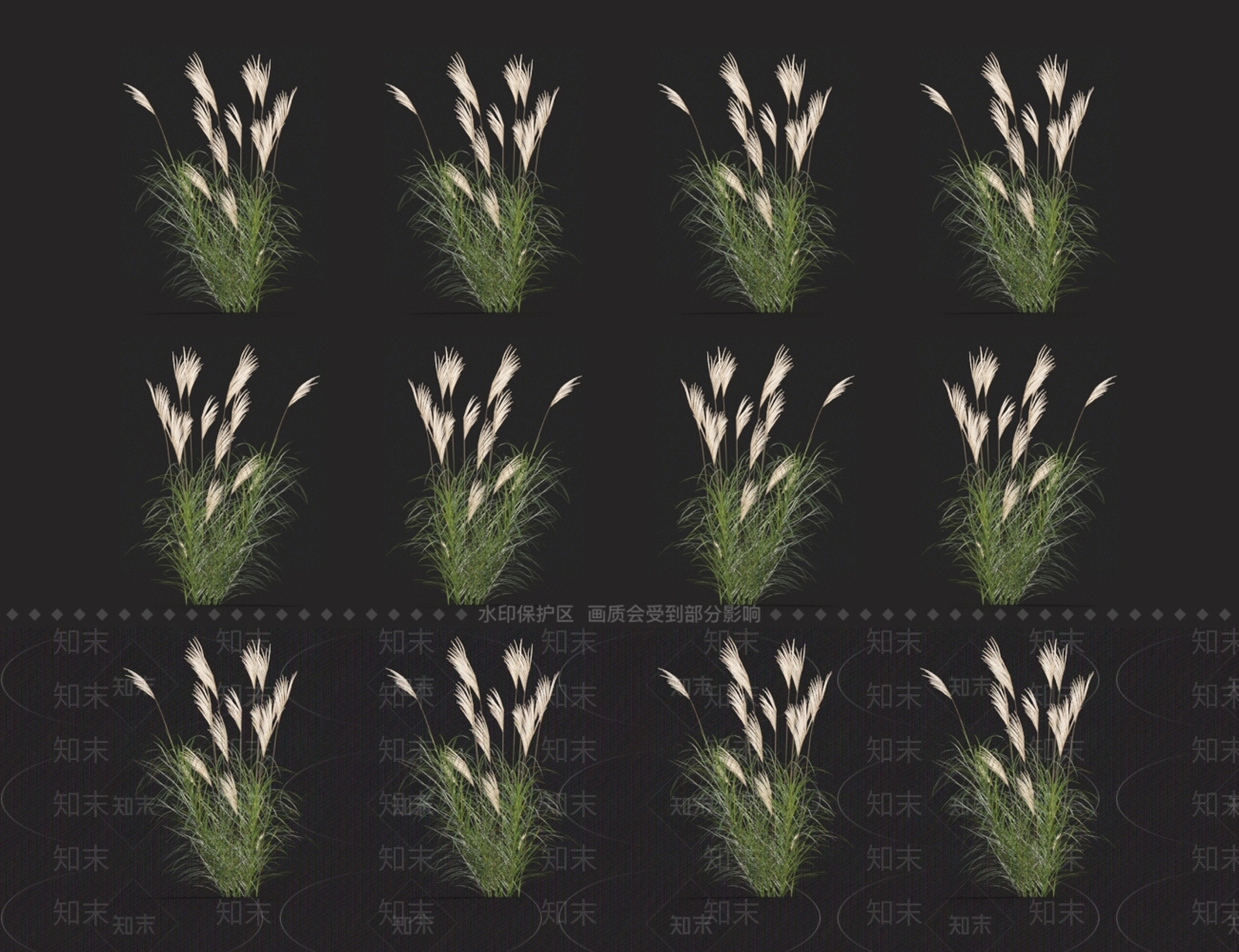 细叶芒3D模型下载【ID:1123689403】
