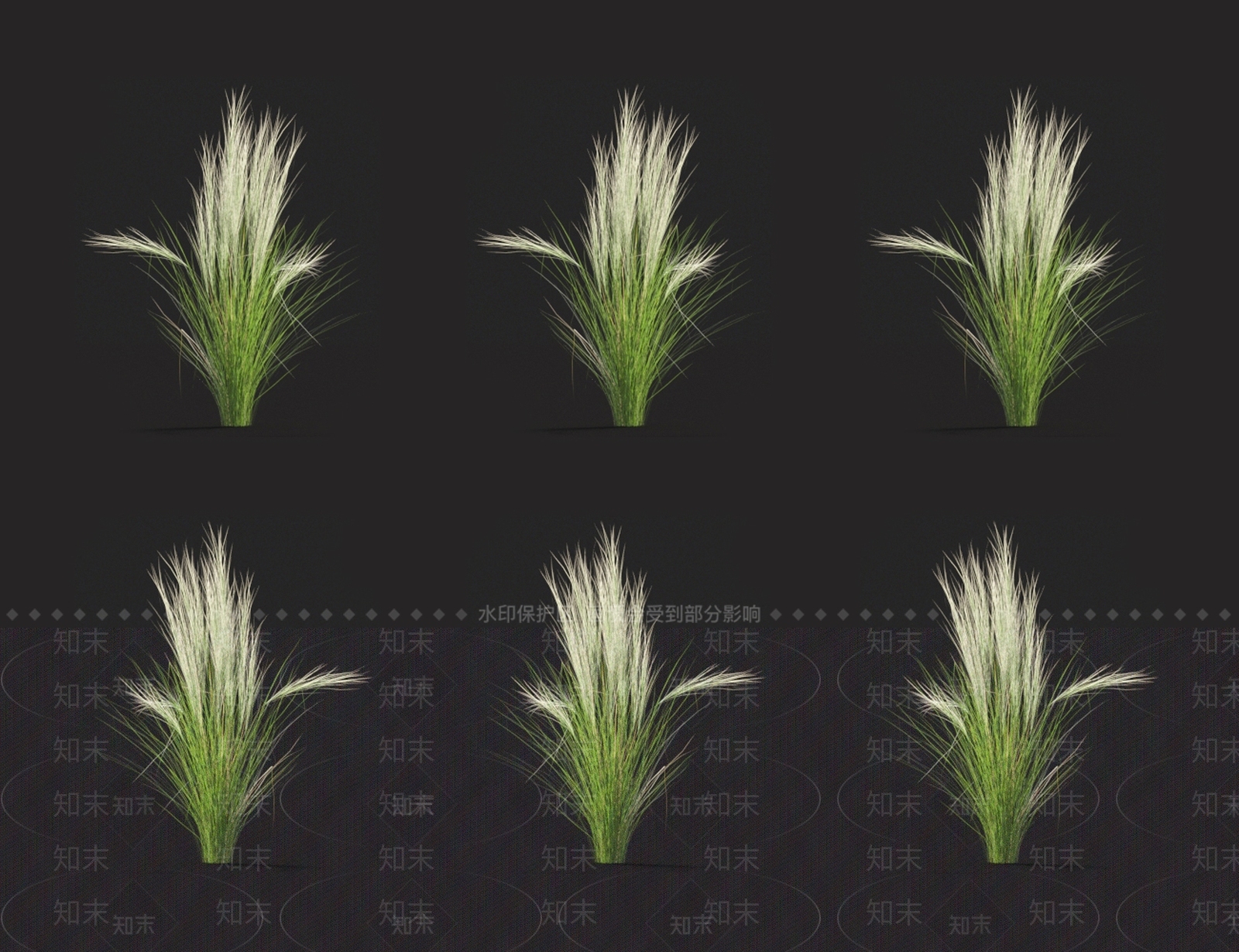 马尾针茅3D模型下载【ID:1123691363】